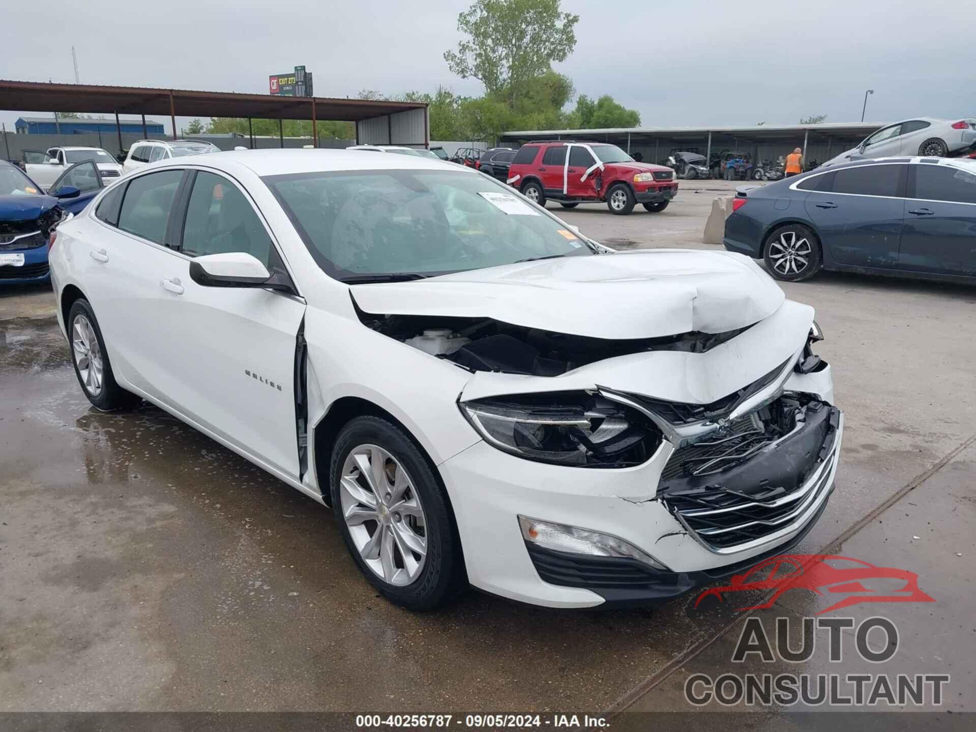 CHEVROLET MALIBU 2019 - 1G1ZD5ST8KF123568