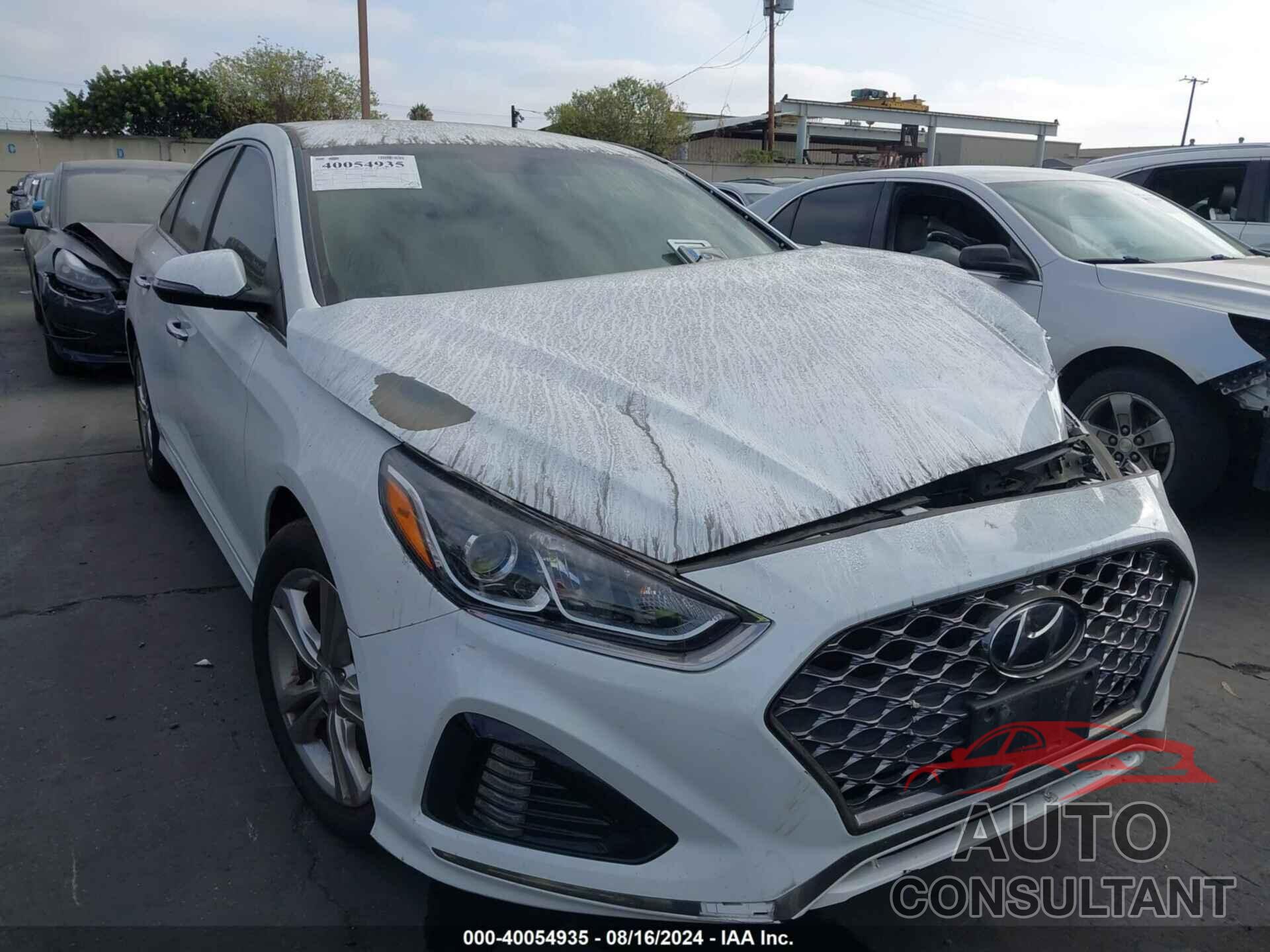 HYUNDAI SONATA 2019 - 5NPE34AF9KH743849