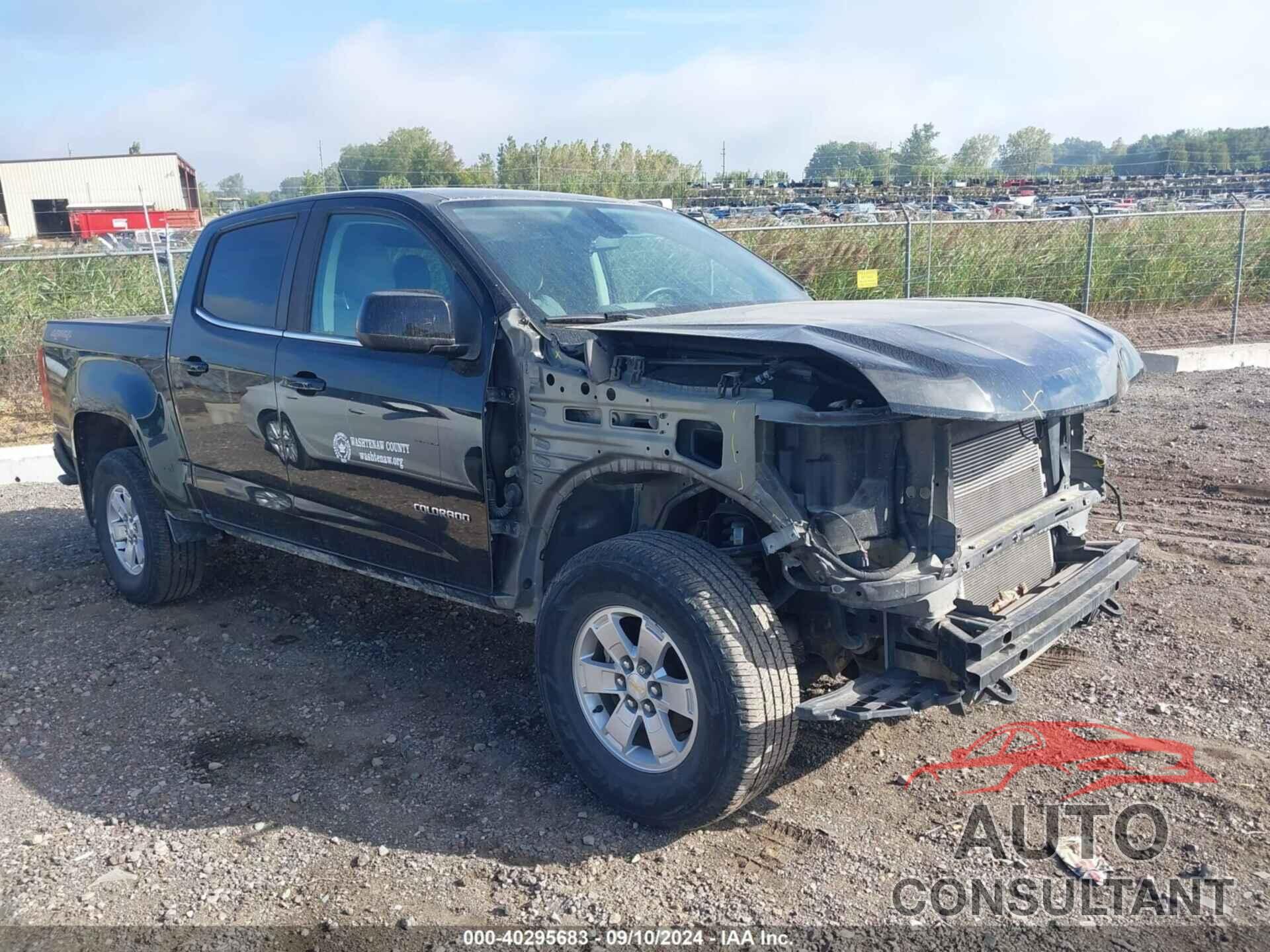 CHEVROLET COLORADO 2019 - 1GCGTBEN1K1135247