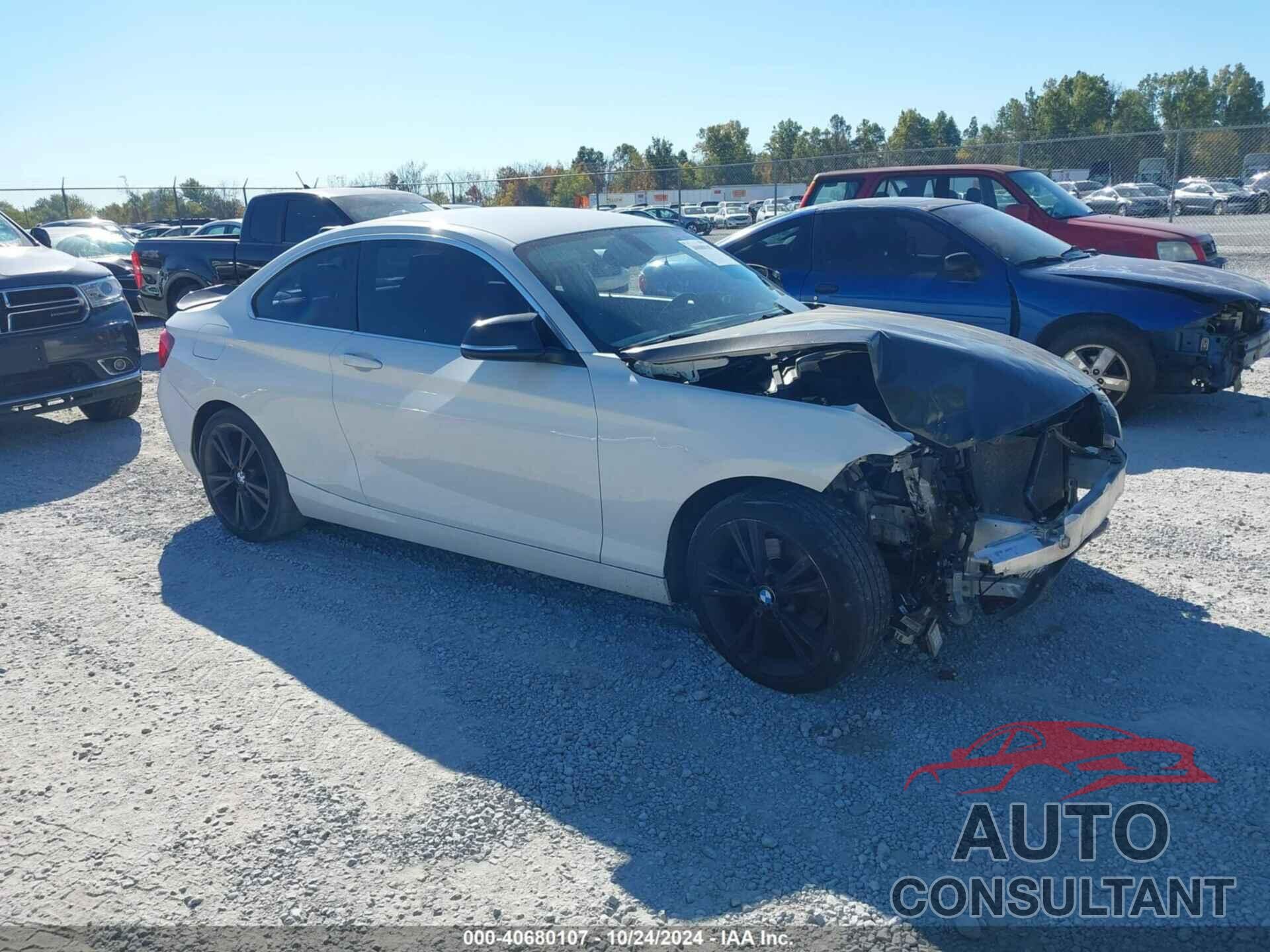 BMW 228I 2015 - WBA1F7C56FVX95809