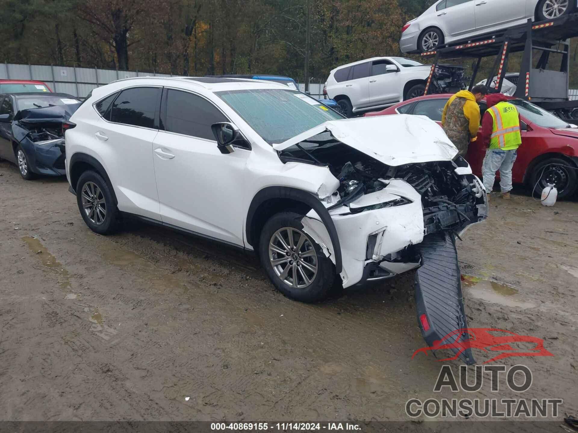 LEXUS NX 300 2020 - JTJDARBZXL5014233