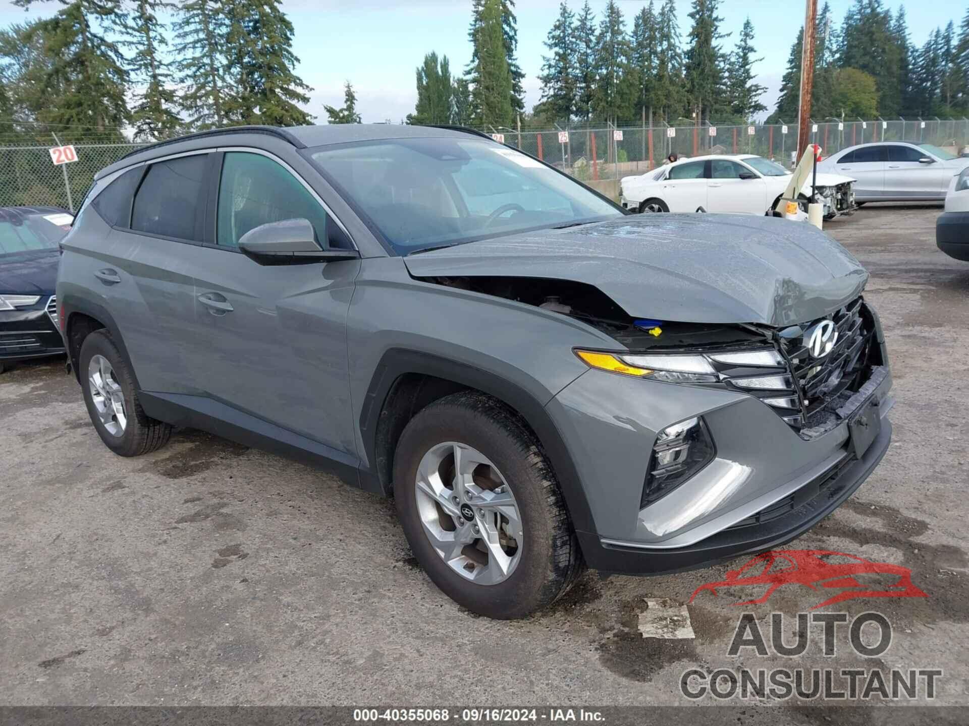 HYUNDAI TUCSON 2024 - 5NMJBCDE4RH392466