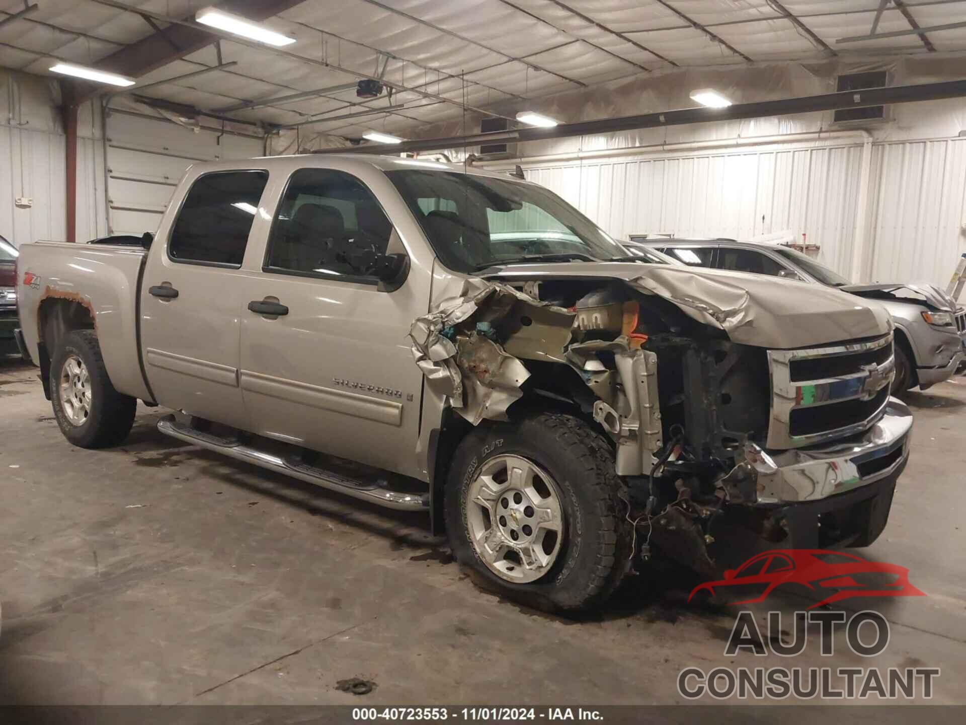 CHEVROLET SILVERADO 1500 2009 - 3GCEK23379G261846