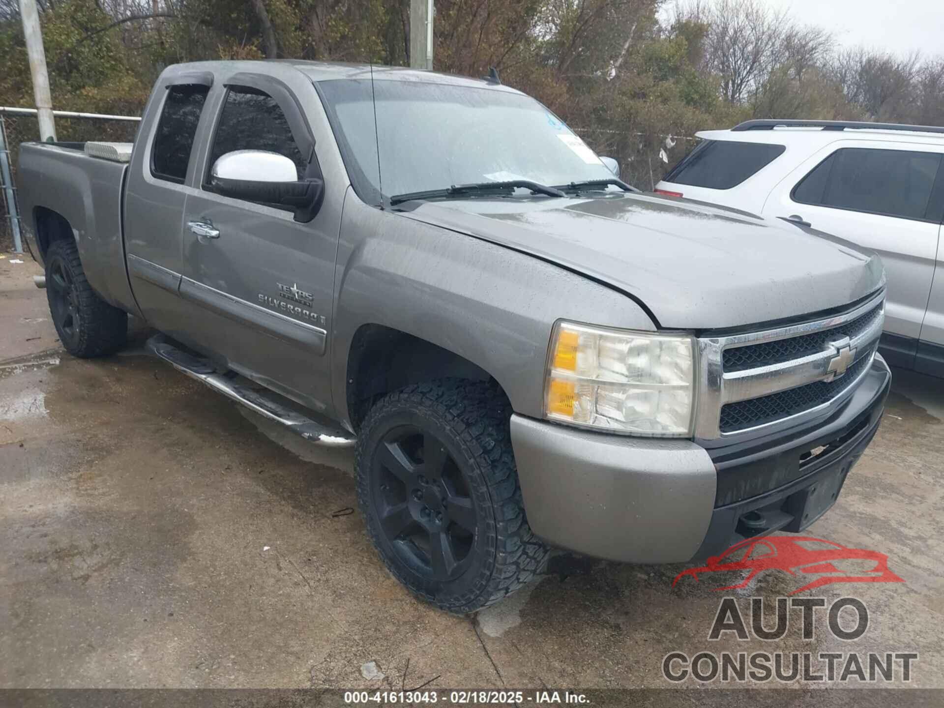 CHEVROLET SILVERADO 1500 2009 - 1GCEC29J59Z167323