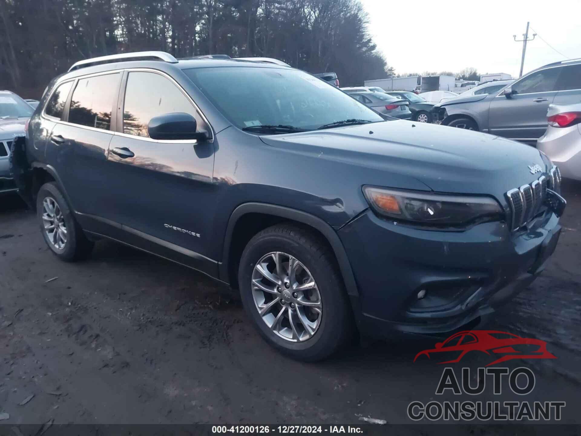 JEEP CHEROKEE 2019 - 1C4PJMLBXKD414494
