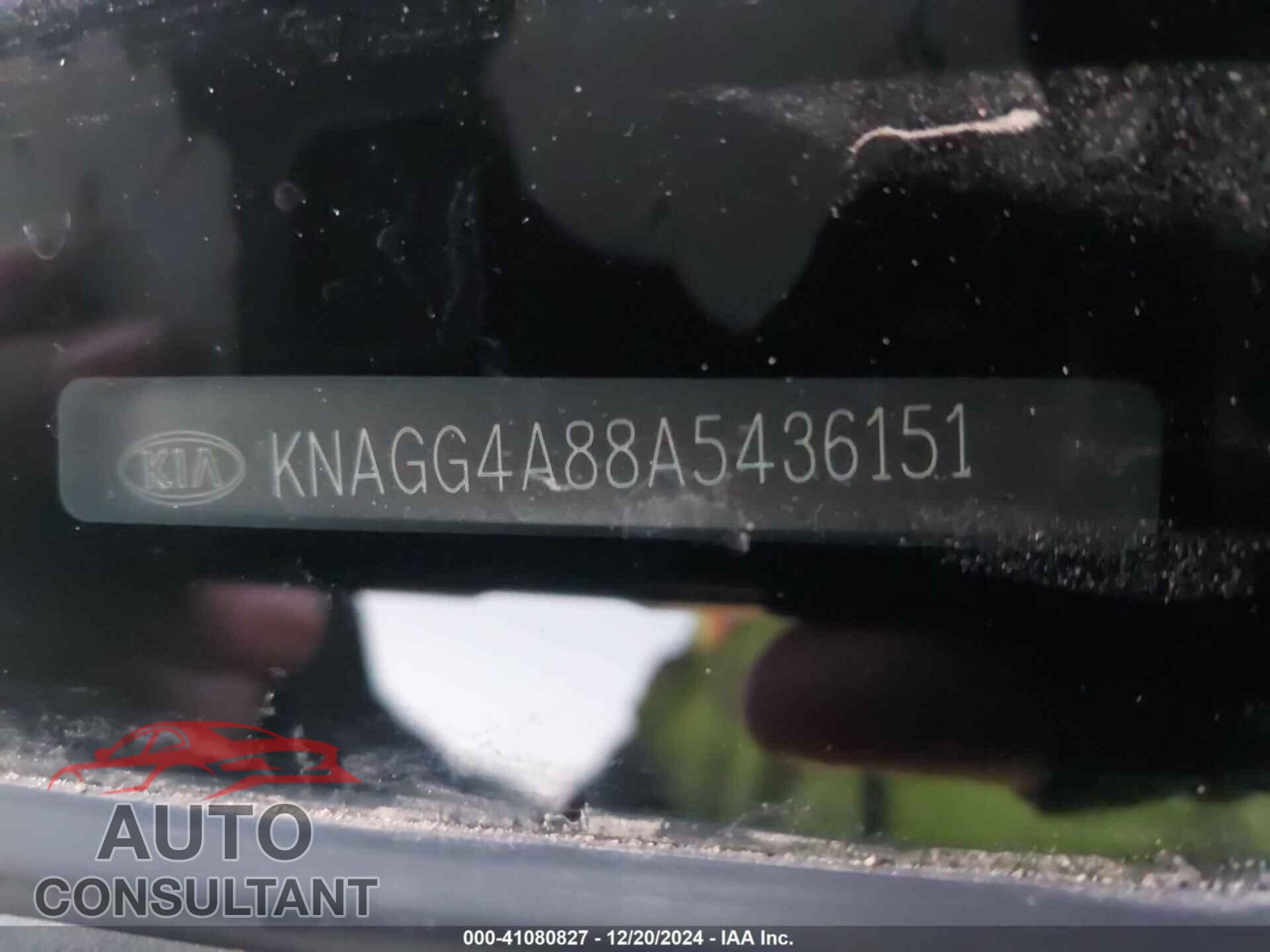 KIA OPTIMA 2010 - KNAGG4A88A5436151