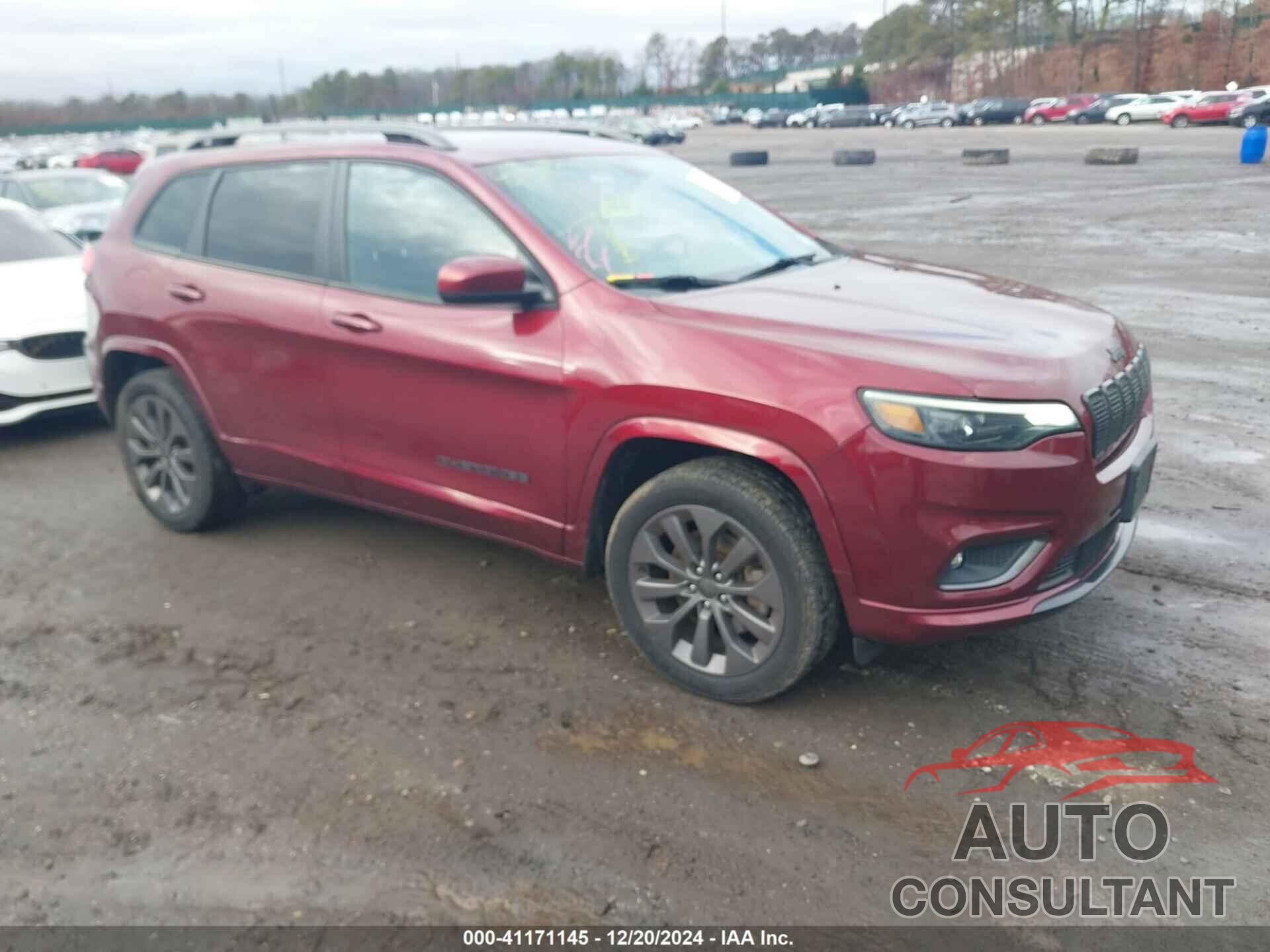 JEEP CHEROKEE 2020 - 1C4PJMDN9LD548455