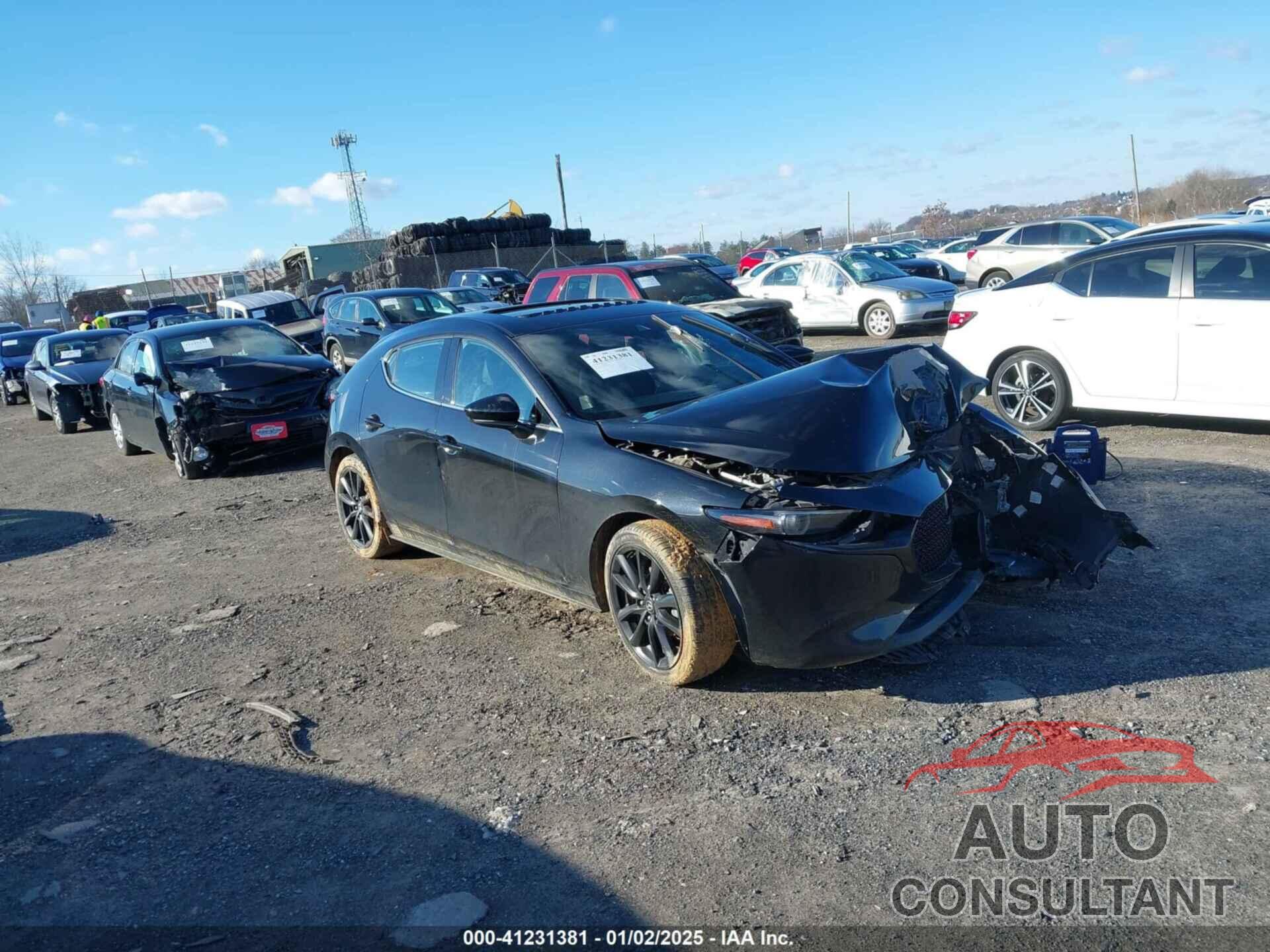 MAZDA MAZDA3 2019 - JM1BPANM8K1115299