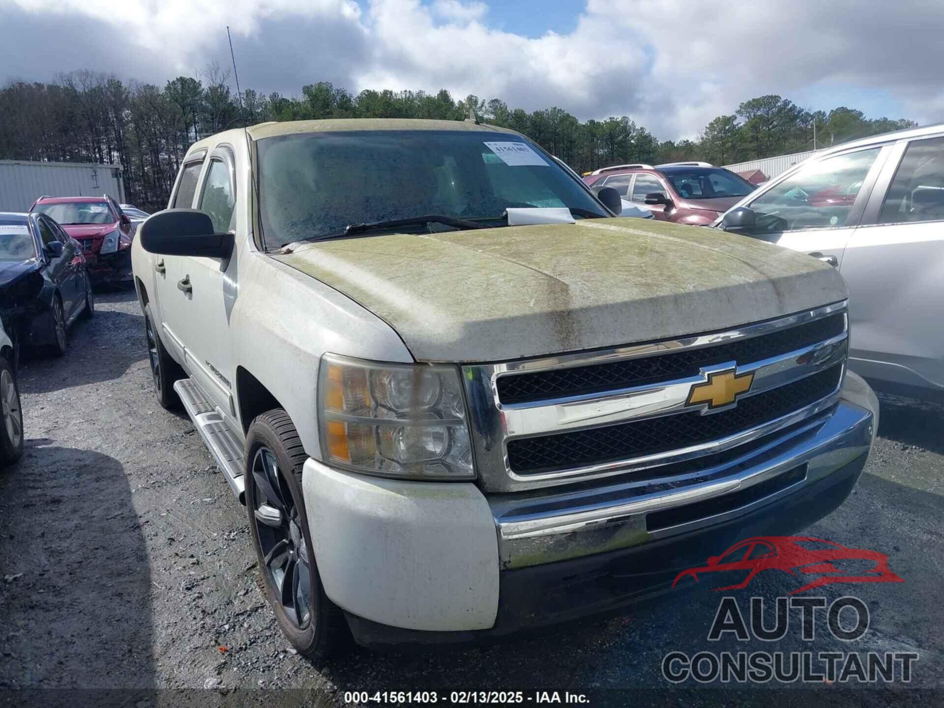 CHEVROLET SILVERADO 1500 2010 - 3GCRCSE39AG147444