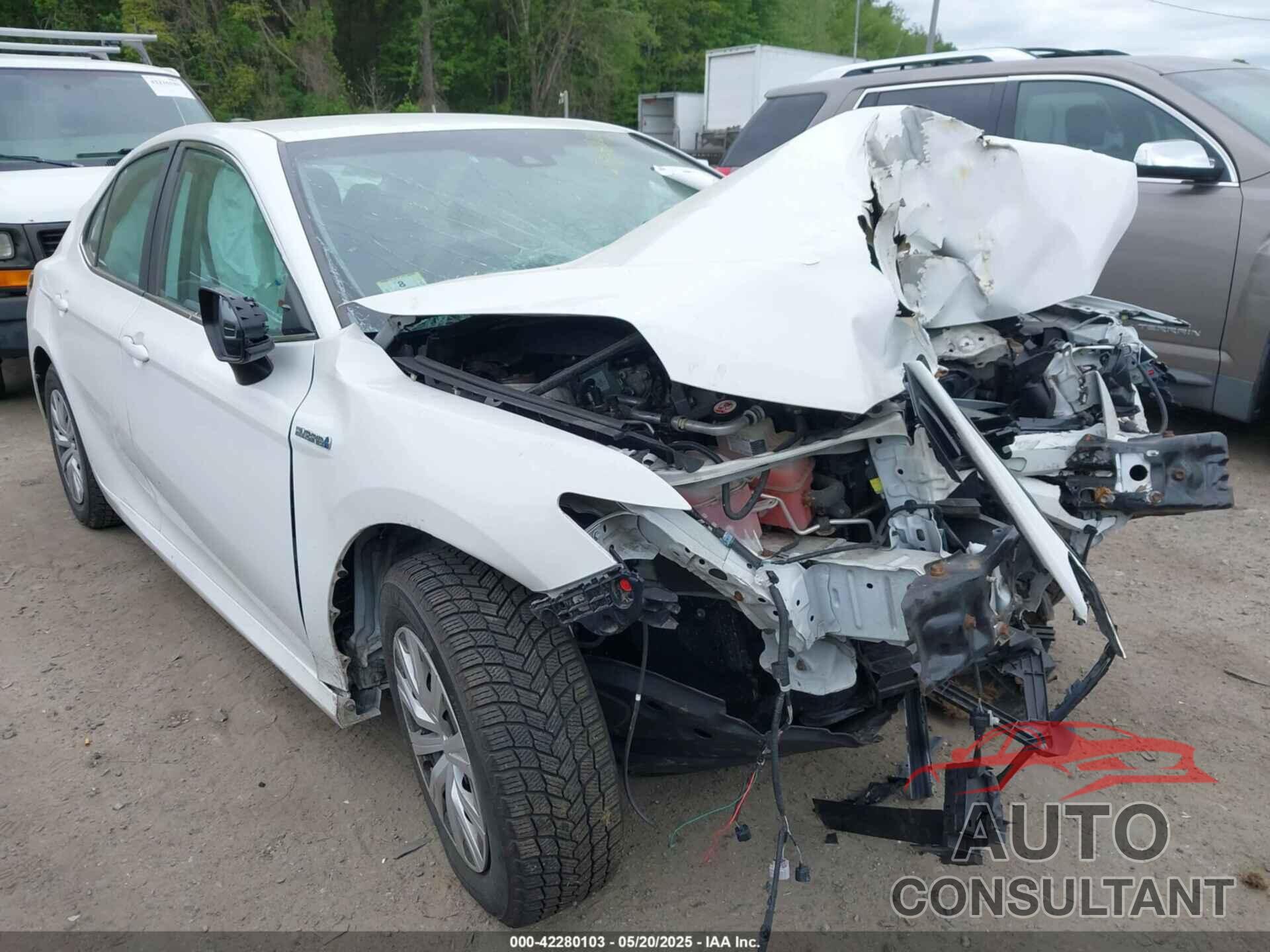 TOYOTA CAMRY HYBRID 2019 - 4T1B31HK8KU008558