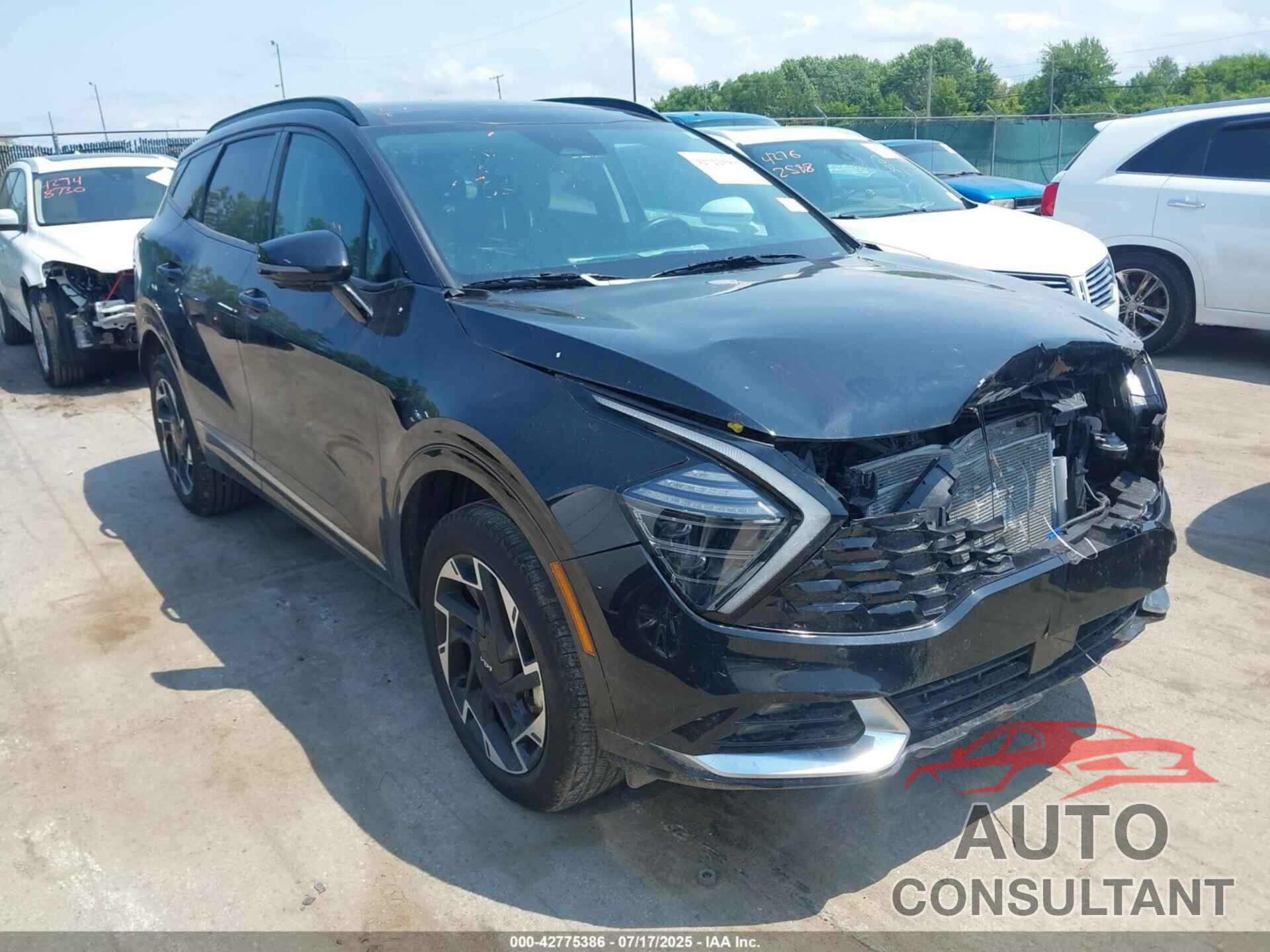 KIA SPORTAGE 2025 - 5XYK5CDF9SG271016