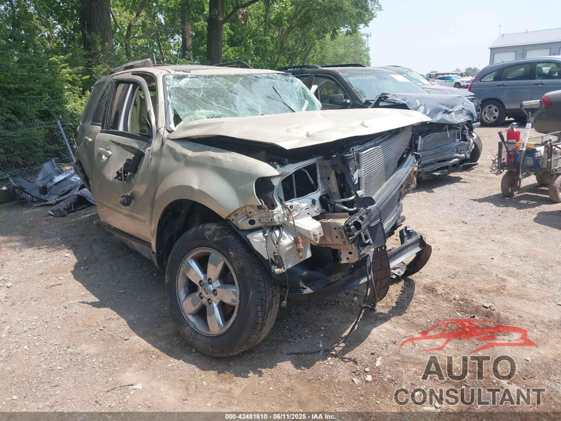 FORD ESCAPE 2010 - 1FMCU9EG1AKA79496