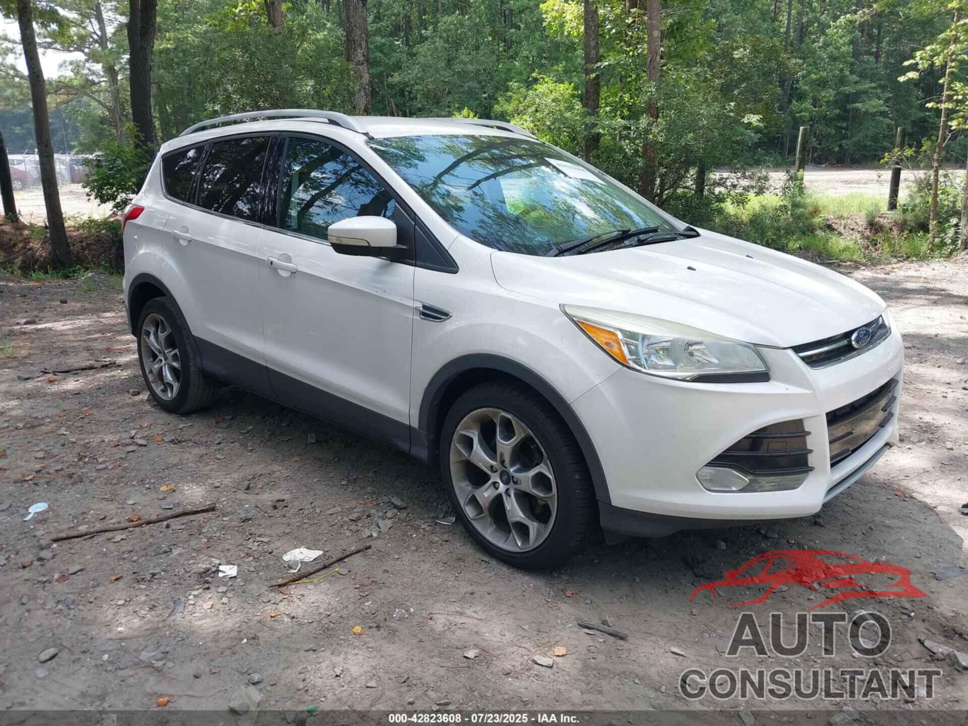 FORD ESCAPE 2014 - 1FMCU0JX8EUA04256