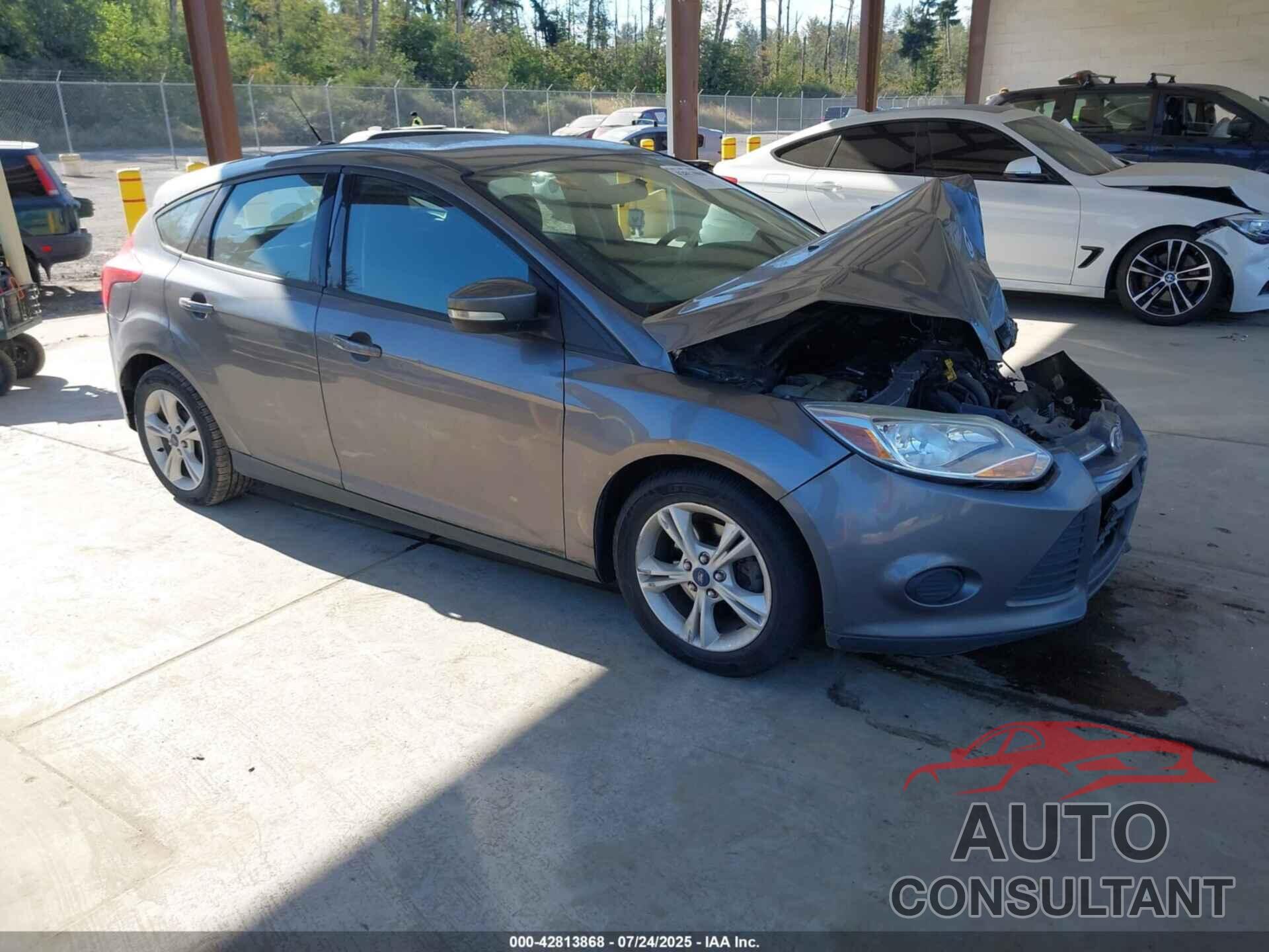 FORD FOCUS 2014 - 1FADP3K21EL399848