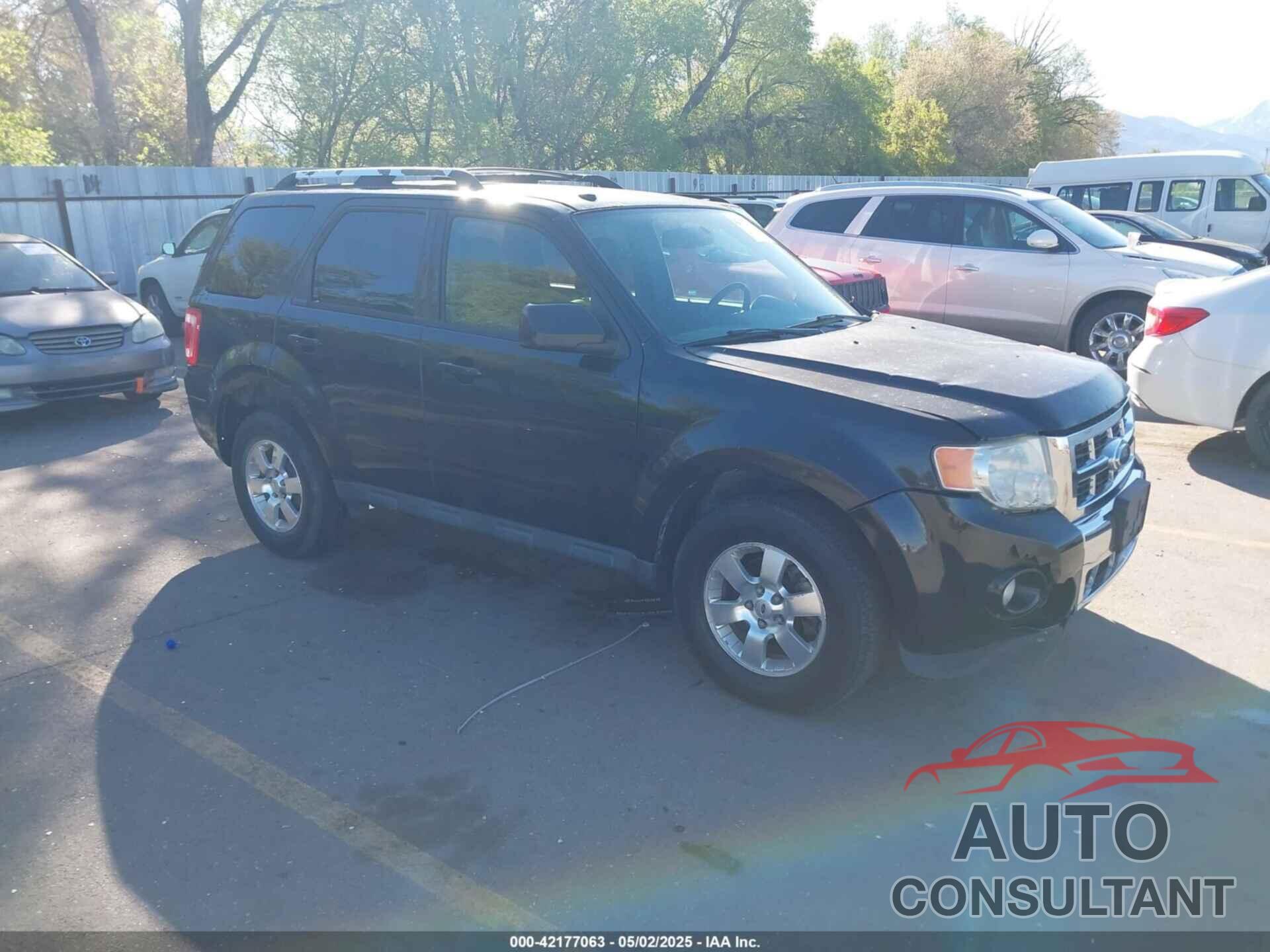 FORD ESCAPE 2011 - 1FMCU9EGXBKB66282