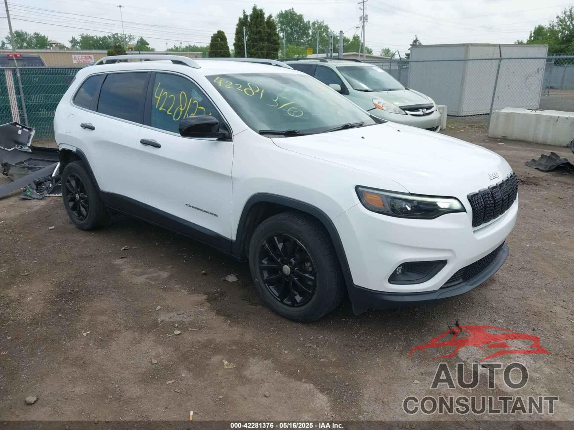 JEEP CHEROKEE 2019 - 1C4PJLLX8KD160404