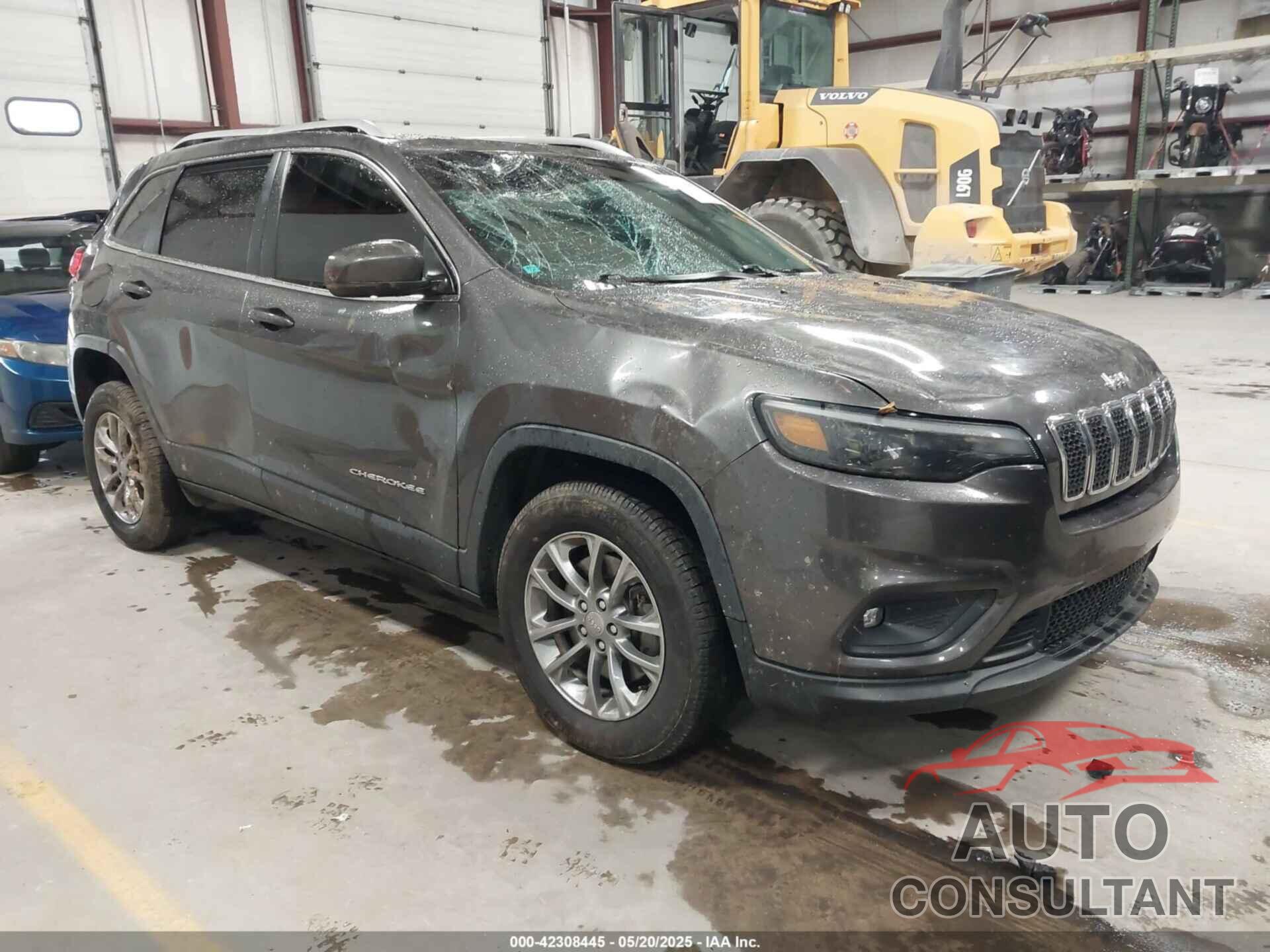 JEEP CHEROKEE 2019 - 1C4PJMLB1KD371812