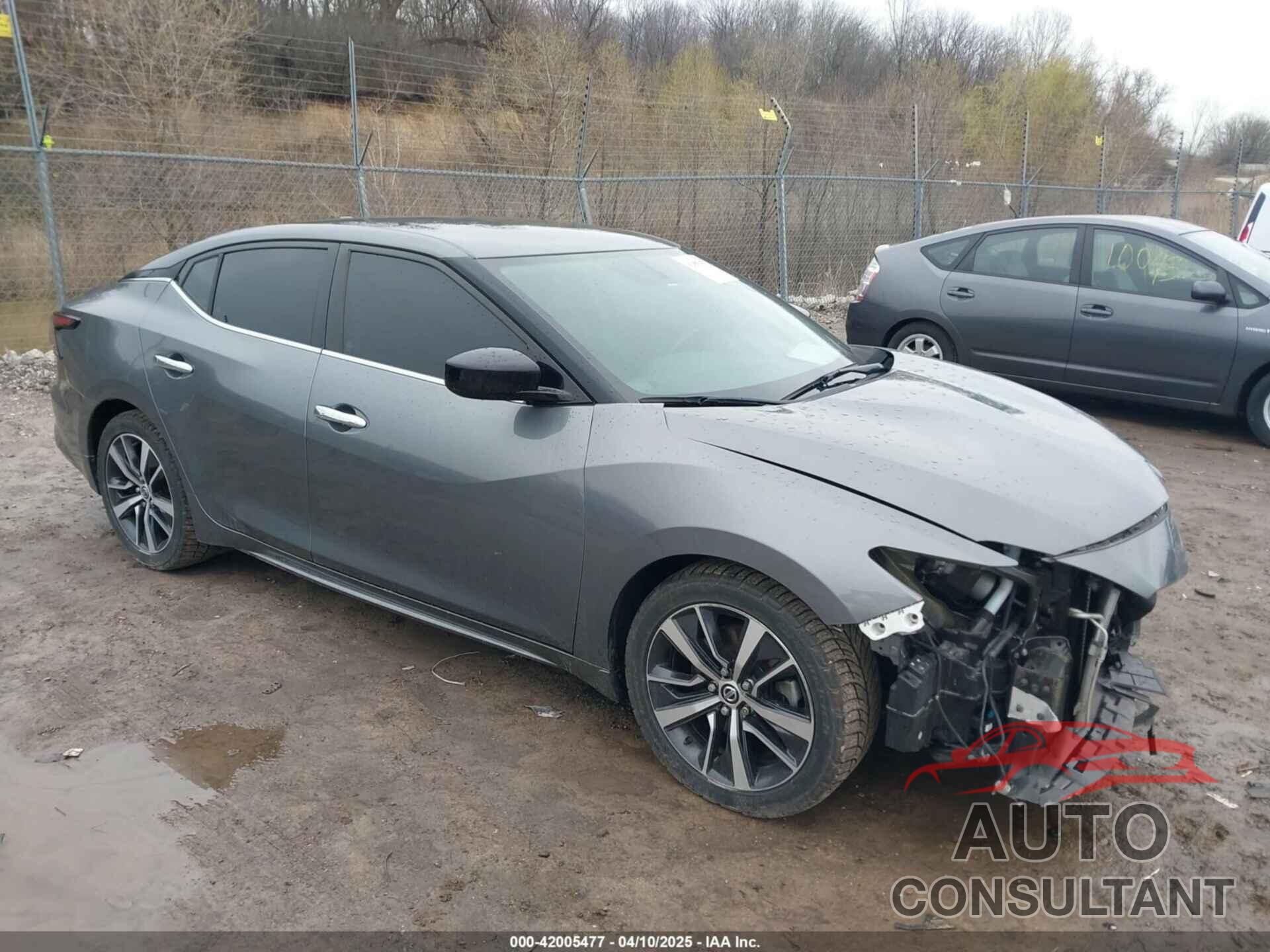 NISSAN MAXIMA 2019 - 1N4AA6AV4KC377243