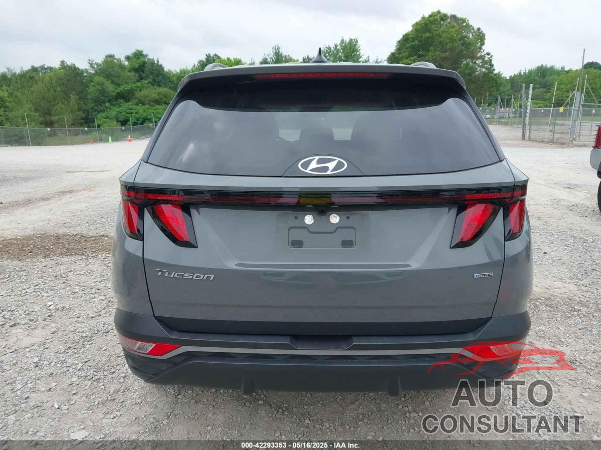 HYUNDAI TUCSON 2024 - 5NMJBCDE6RH392128