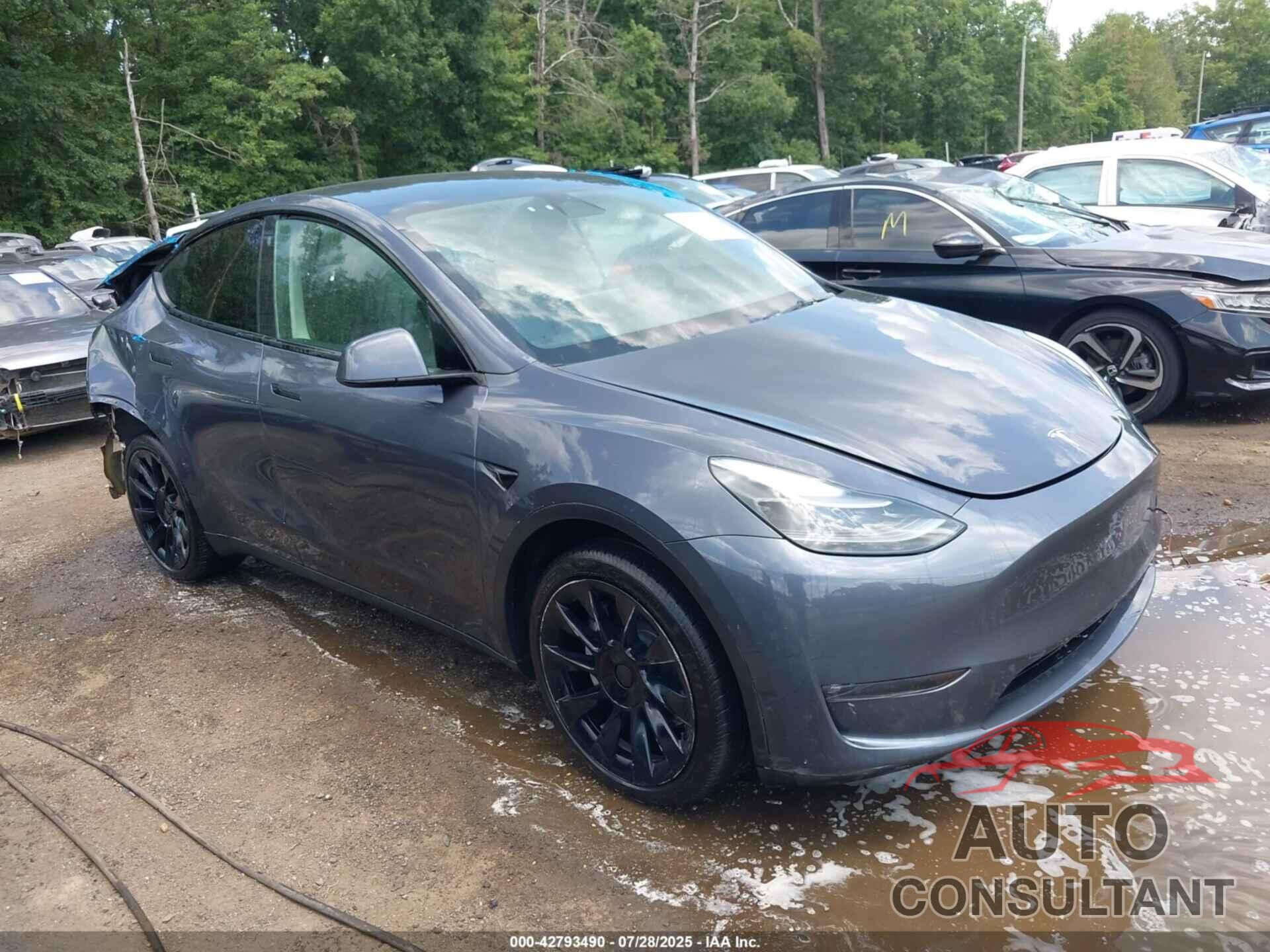 TESLA MODEL Y 2023 - 7SAYGDEEXPF697167