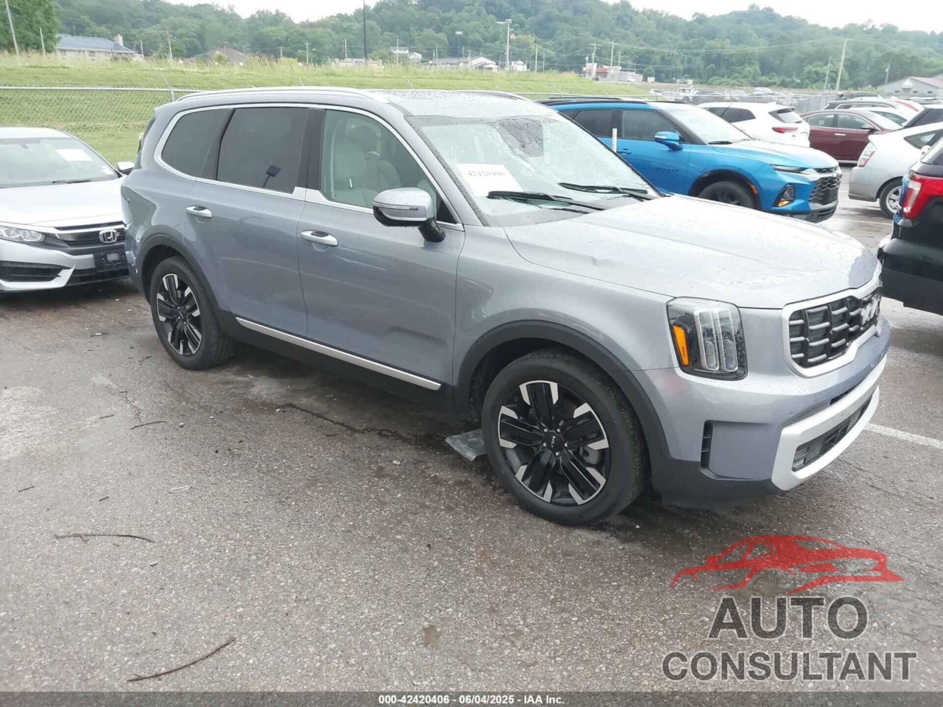 KIA TELLURIDE 2024 - 5XYP5DGC2RG520392