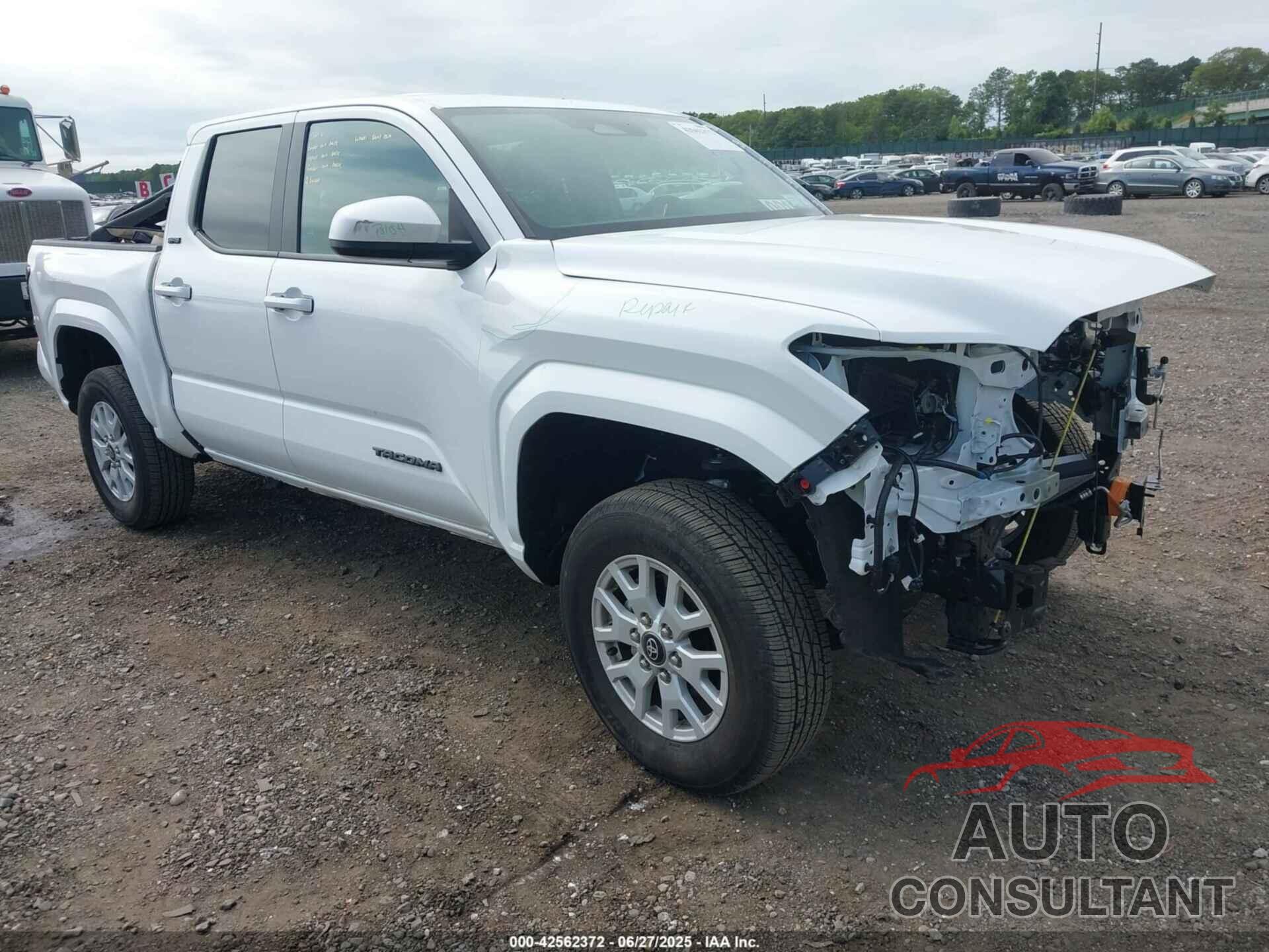 TOYOTA TACOMA 2024 - 3TMLB5JN2RM020257