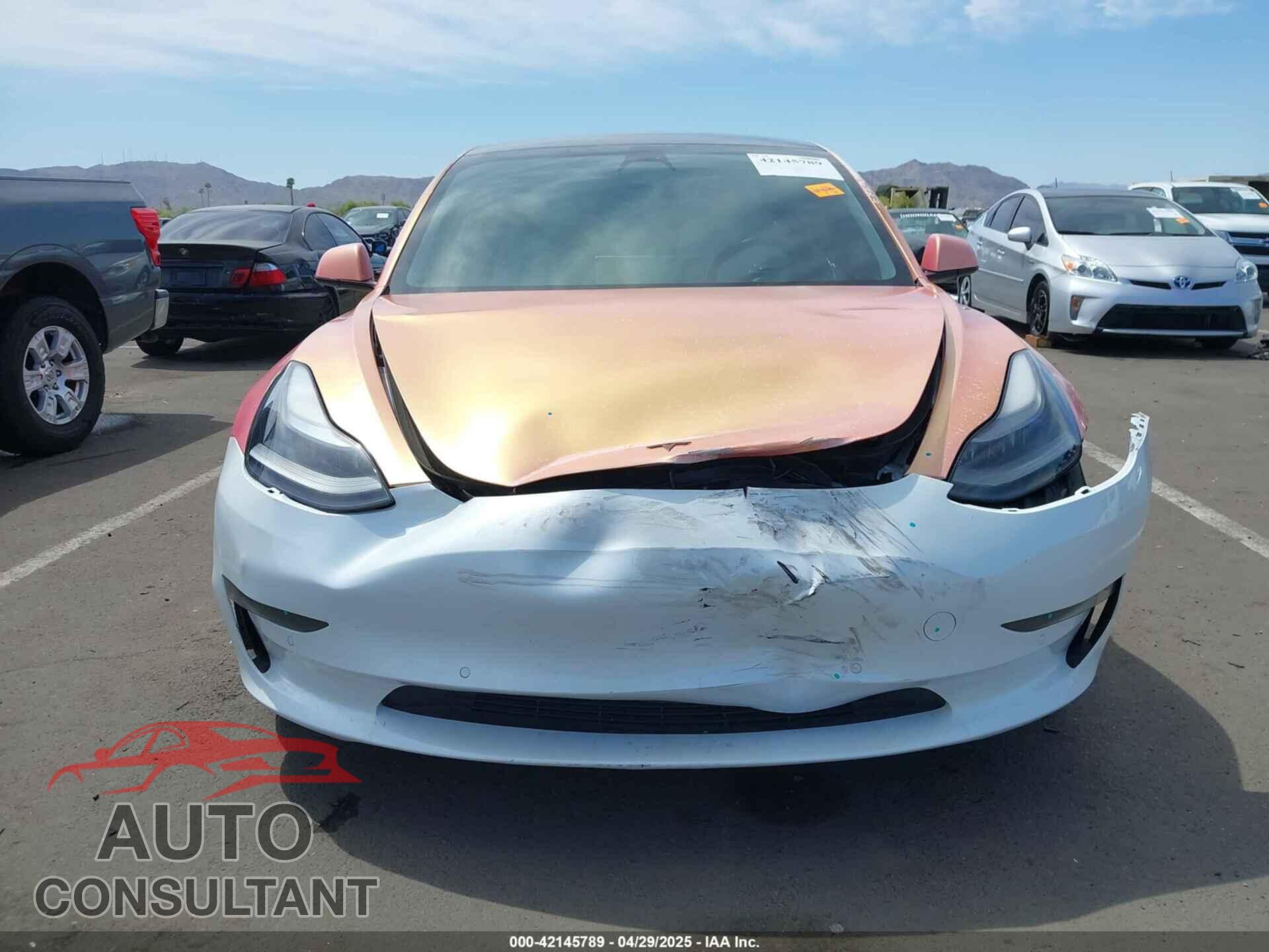 TESLA MODEL 3 2021 - 5YJ3E1EA9MF097437