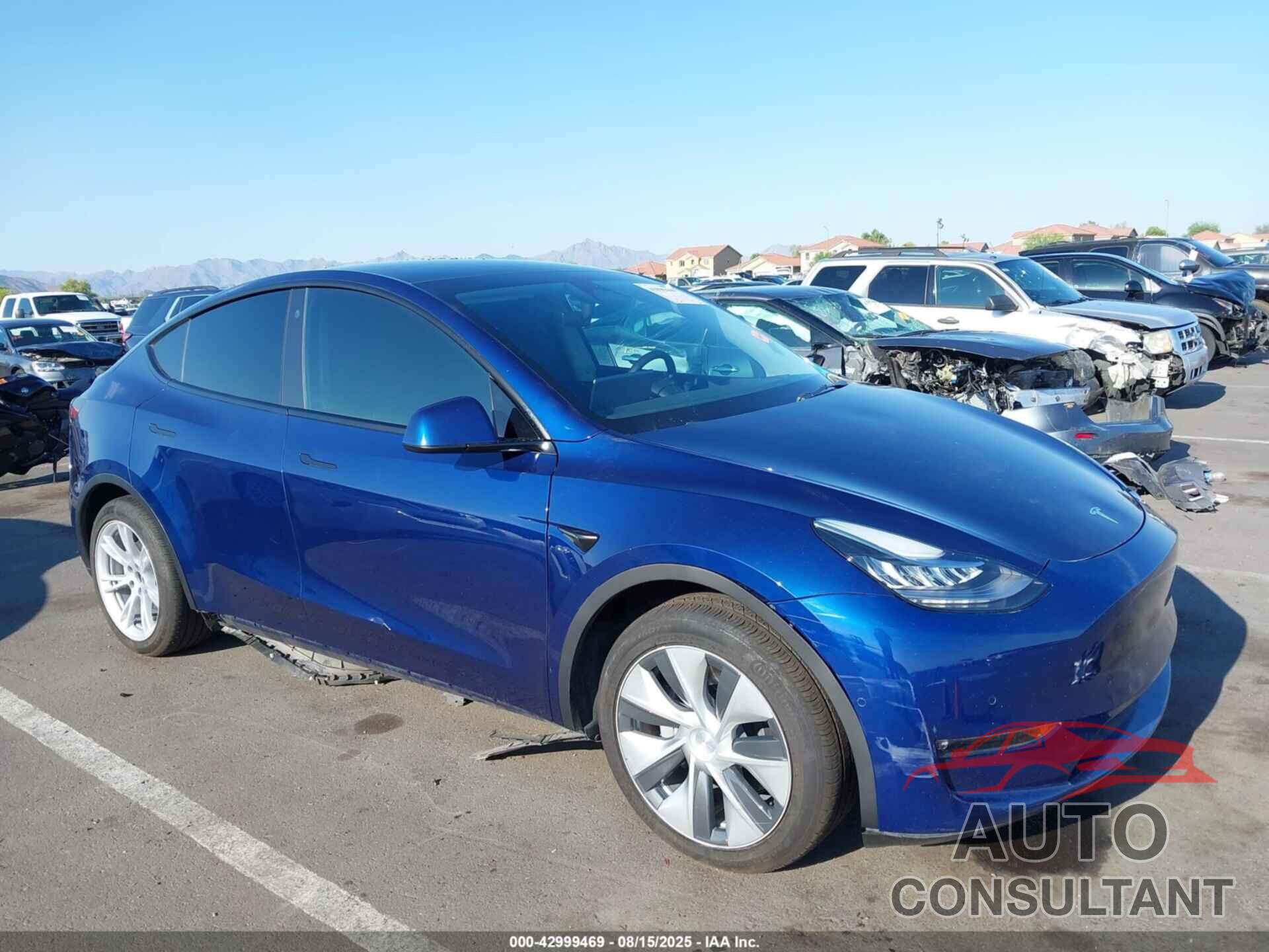 TESLA MODEL Y 2022 - 7SAYGAEE6NF340712