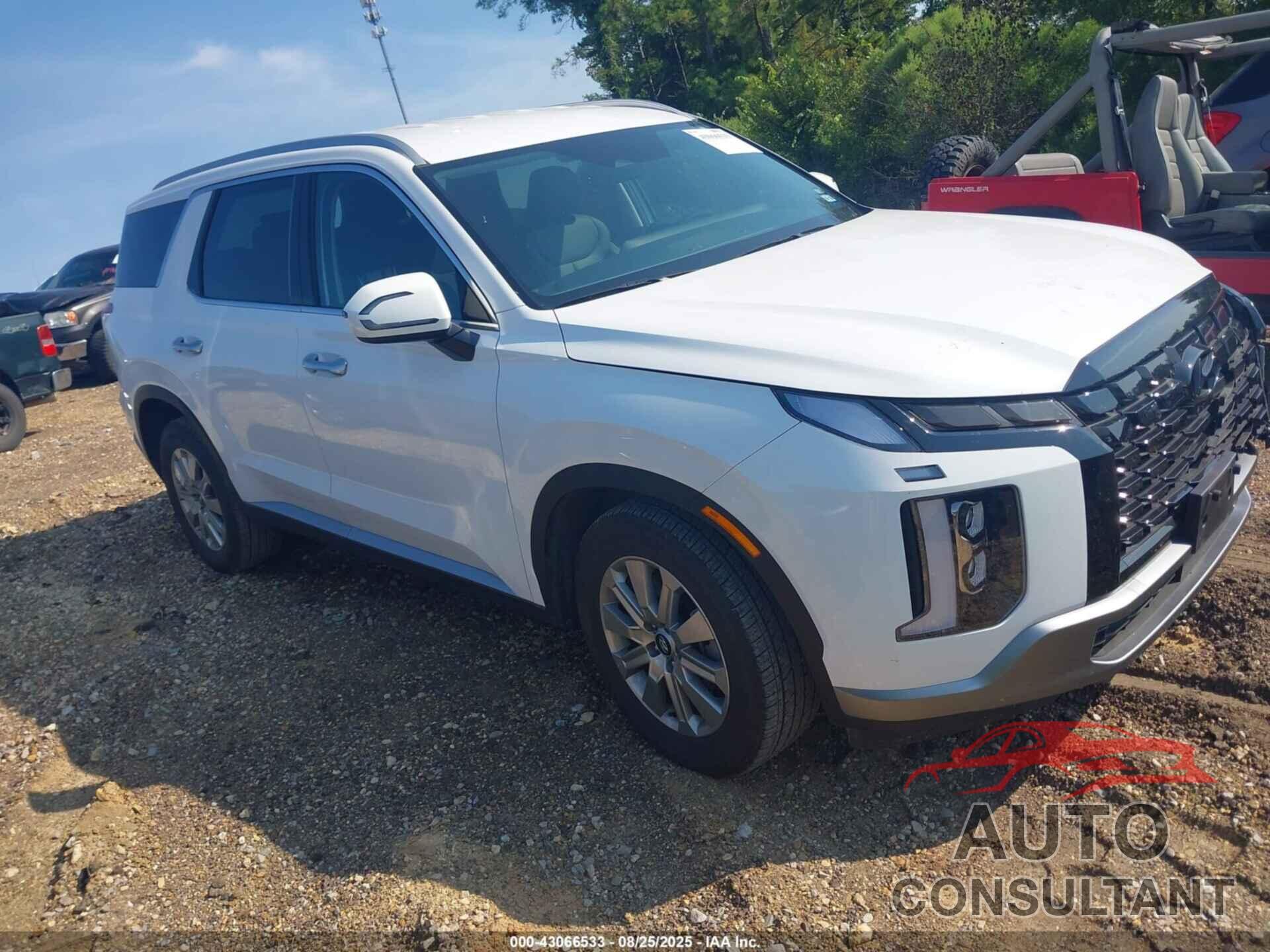HYUNDAI PALISADE 2025 - KM8R24GE4SU865118