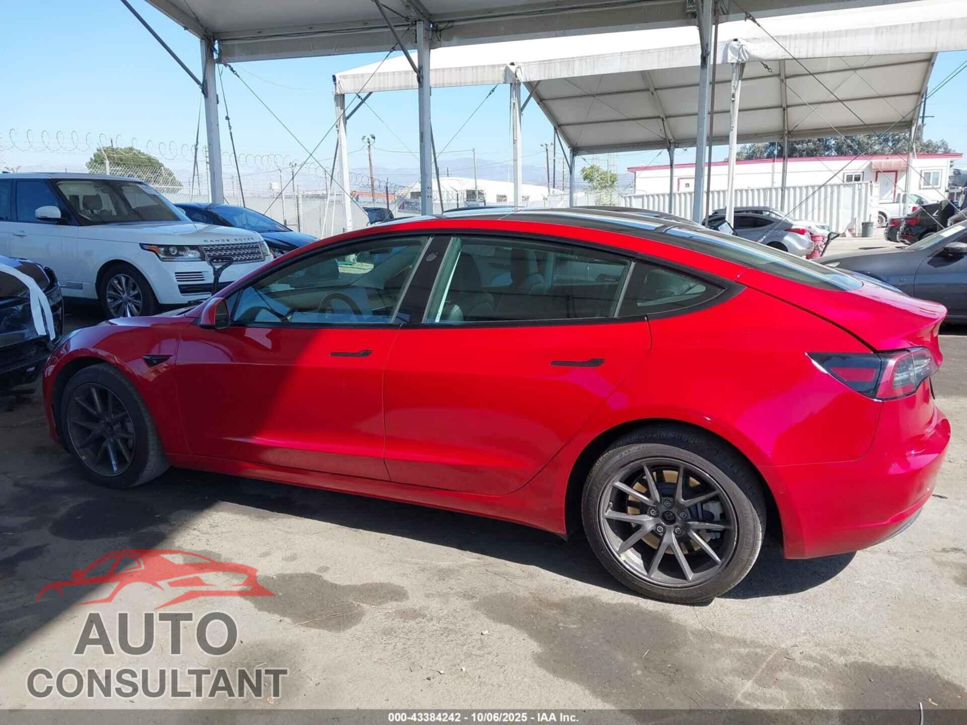 TESLA MODEL 3 2021 - 5YJ3E1EA5MF095085