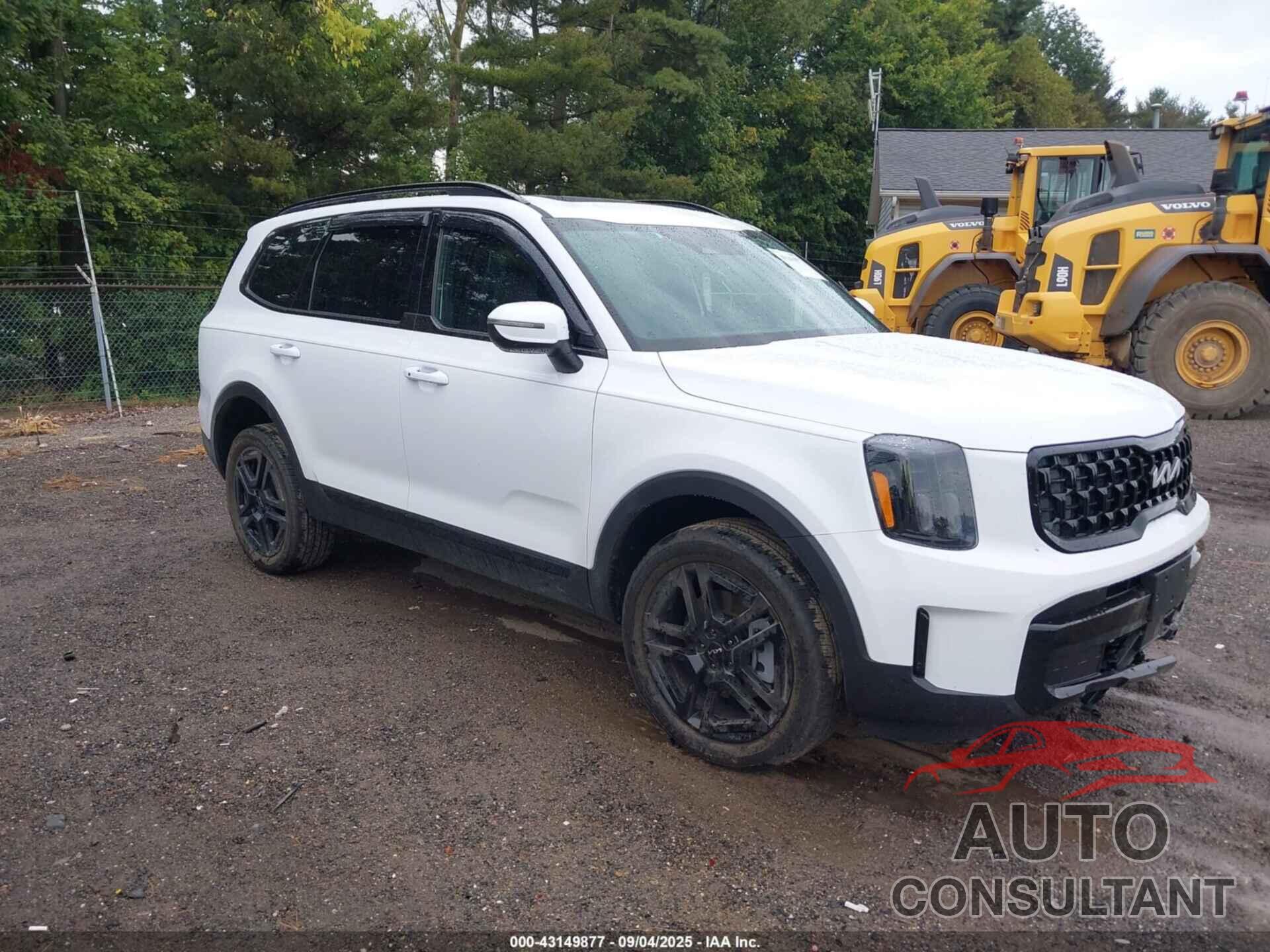 KIA TELLURIDE 2024 - 5XYP3DGC9RG562726