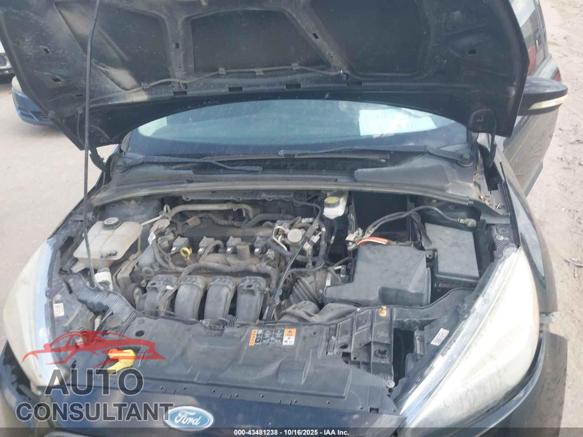 FORD FOCUS 2017 - 1FADP3K28HL267271