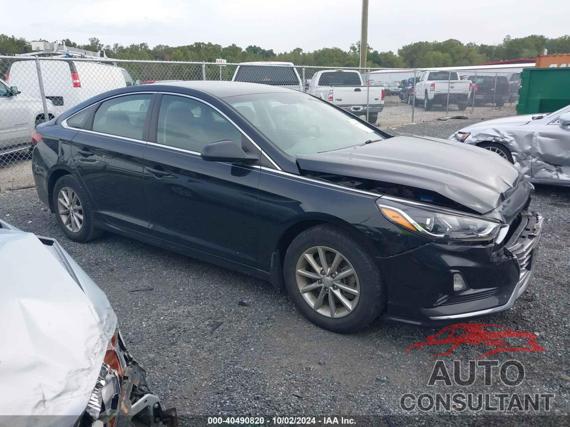 HYUNDAI SONATA 2019 - 5NPE24AF2KH803182