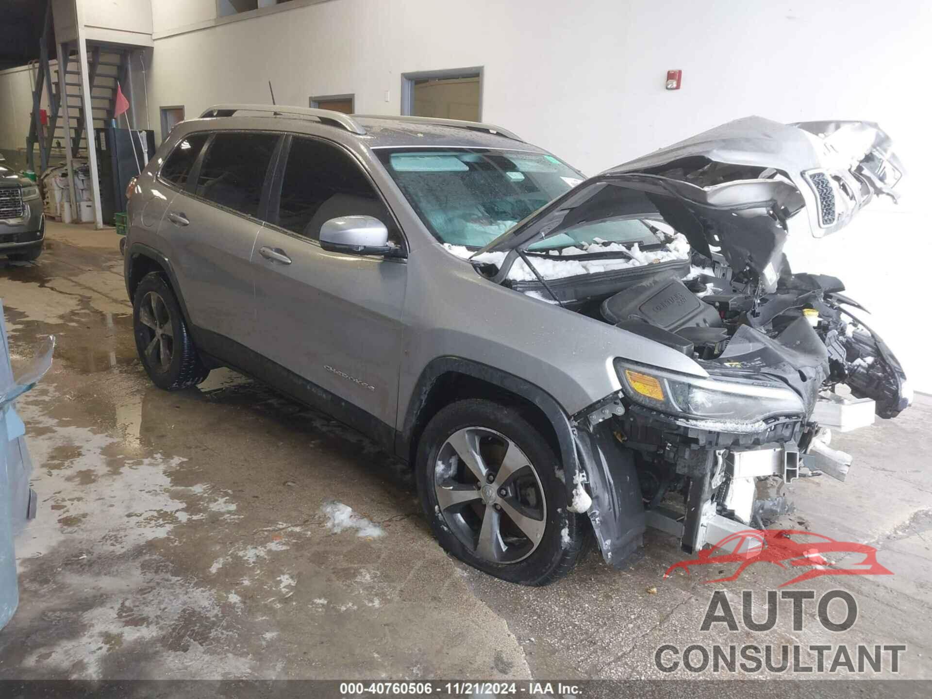 JEEP CHEROKEE 2019 - 1C4PJLDB9KD402913