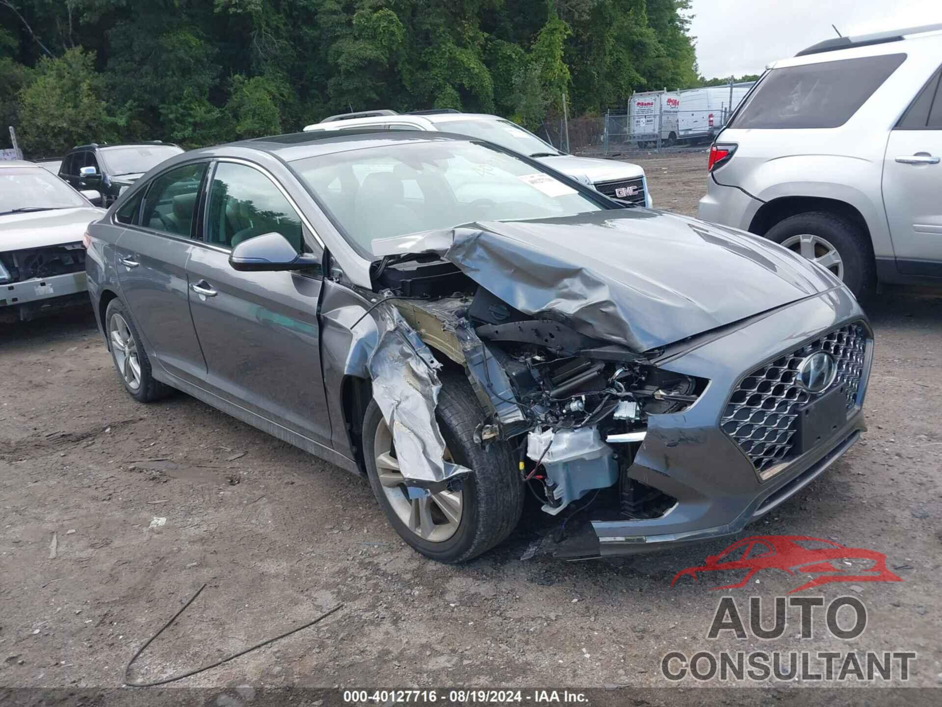 HYUNDAI SONATA 2019 - 5NPE34AF6KH766599