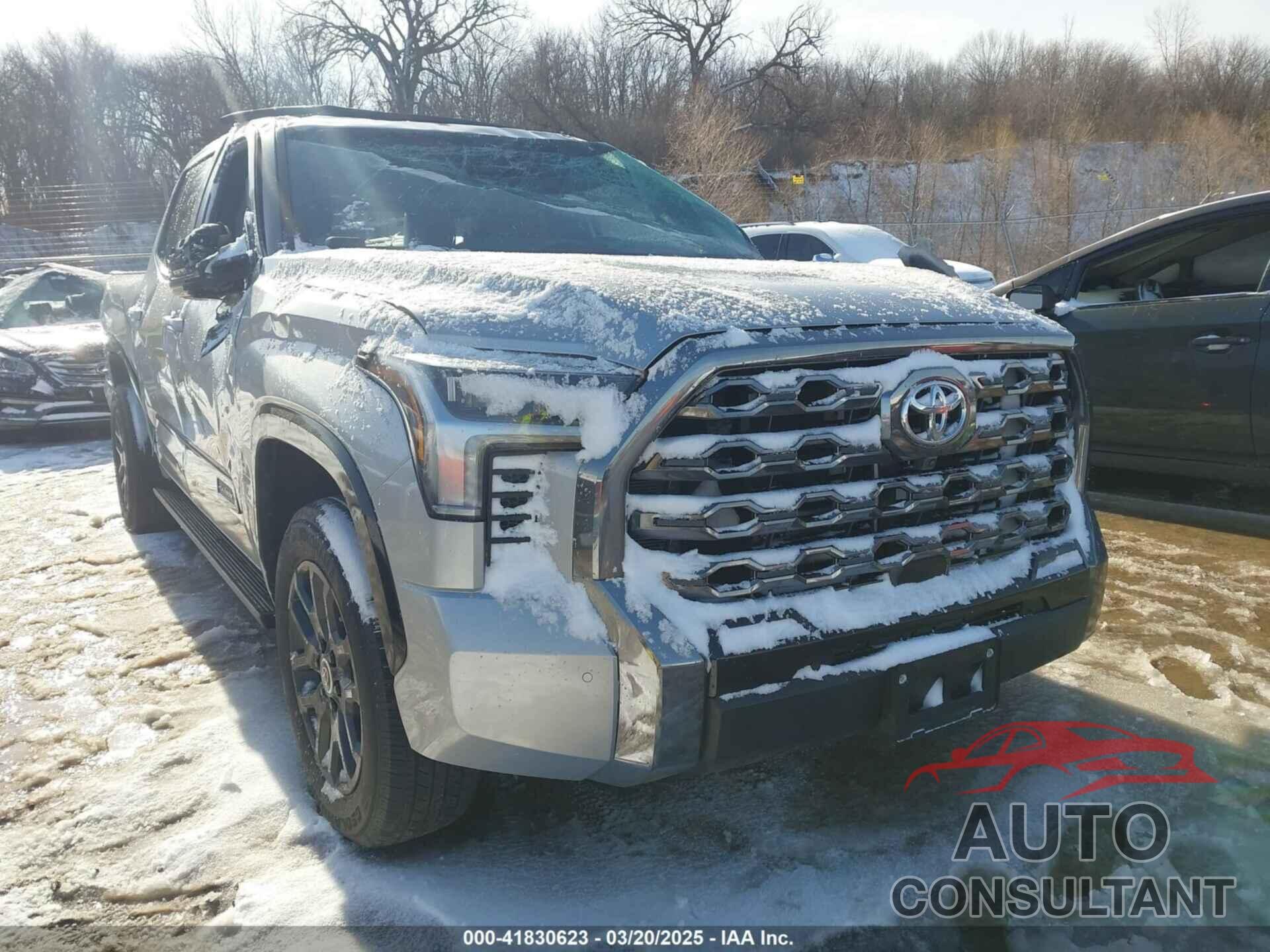 TOYOTA TUNDRA 2024 - 5TFNA5DB7RX142071