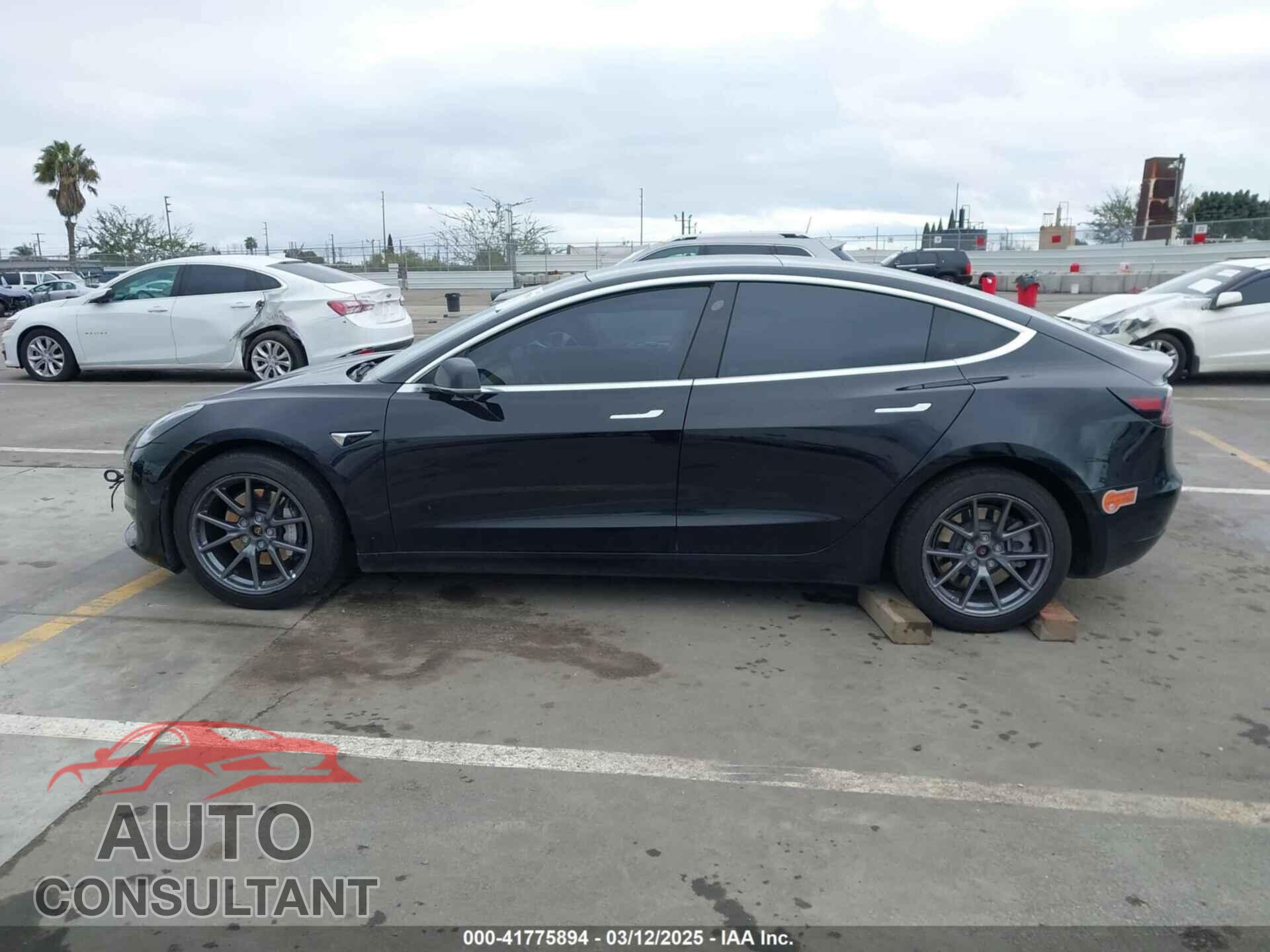 TESLA MODEL 3 2019 - 5YJ3E1EB2KF451692