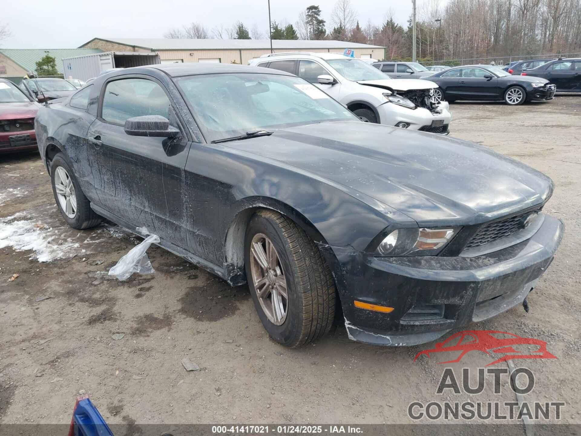 FORD MUSTANG 2011 - 1ZVBP8AM9B5134934