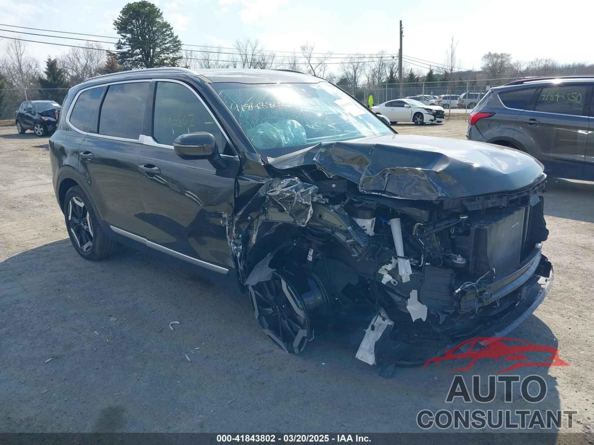 KIA TELLURIDE 2024 - 5XYP3DGC3RG426429