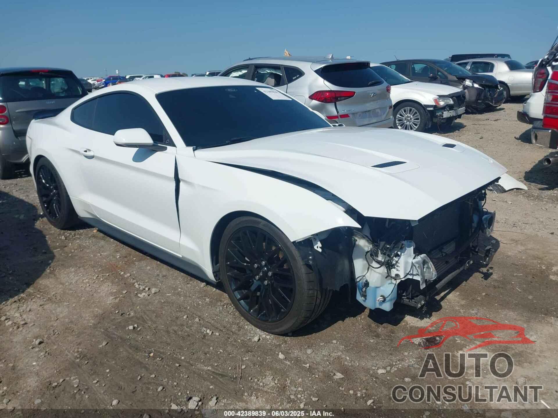 FORD MUSTANG 2021 - 1FA6P8TH6M5155737