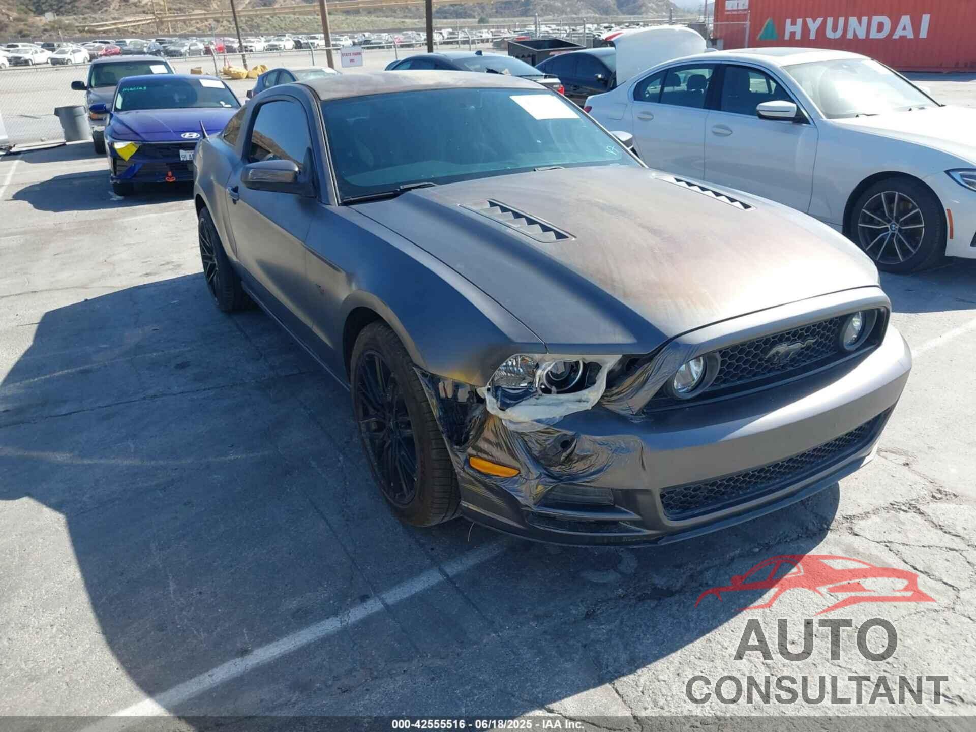 FORD MUSTANG 2013 - 1ZVBP8CF0D5247978