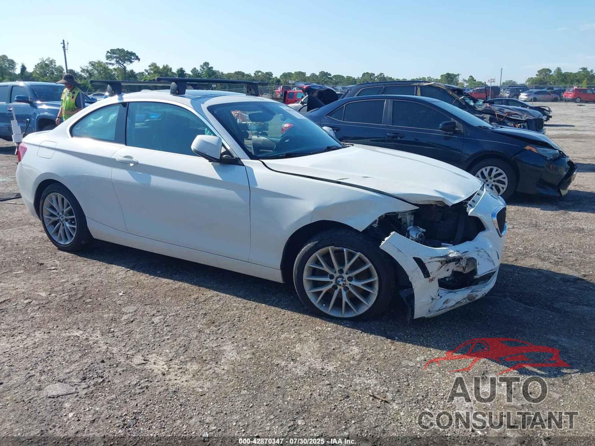 BMW 228I 2015 - WBA1G9C58FVX96937
