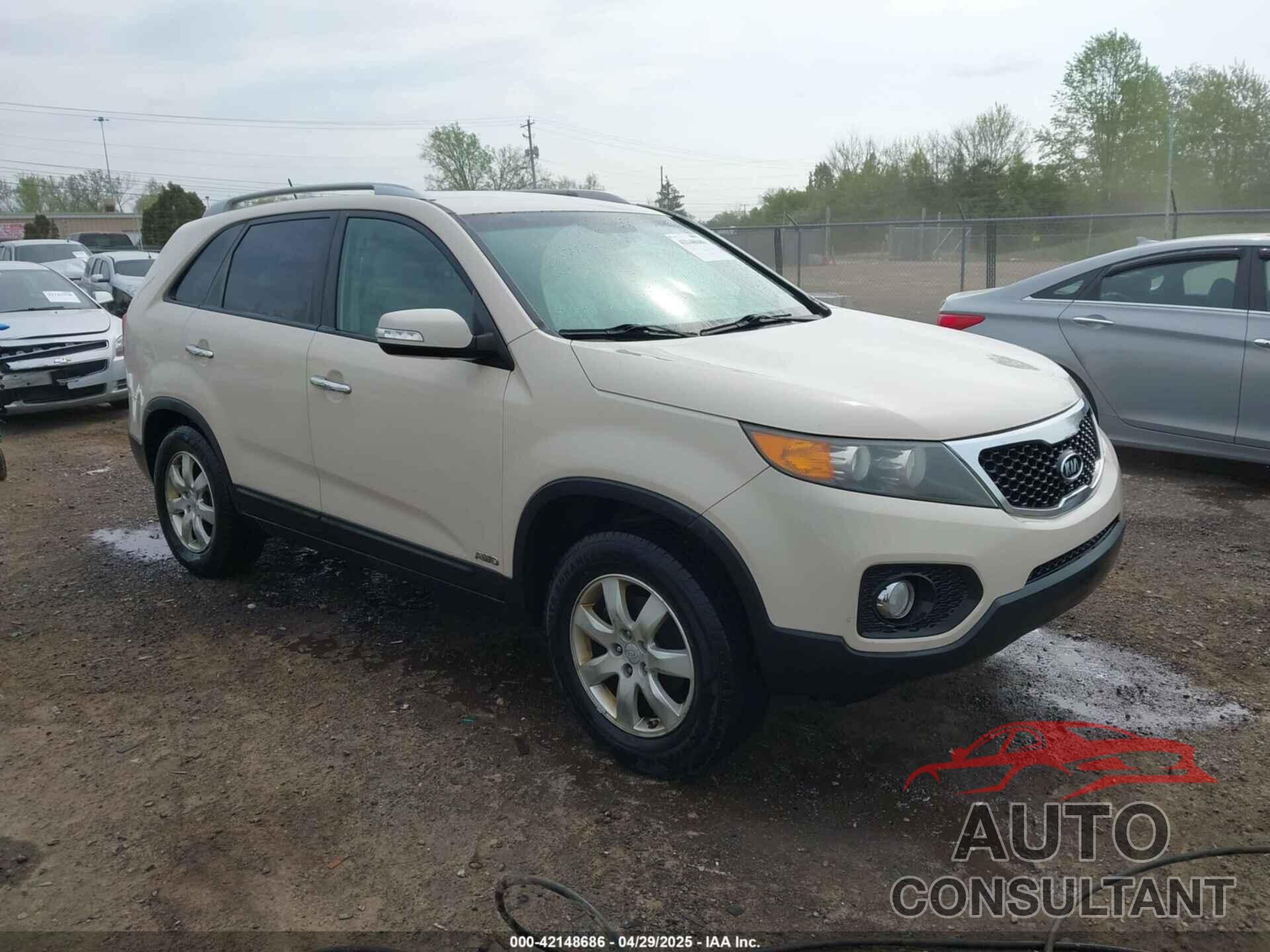 KIA SORENTO 2011 - 5XYKTDA11BG069811
