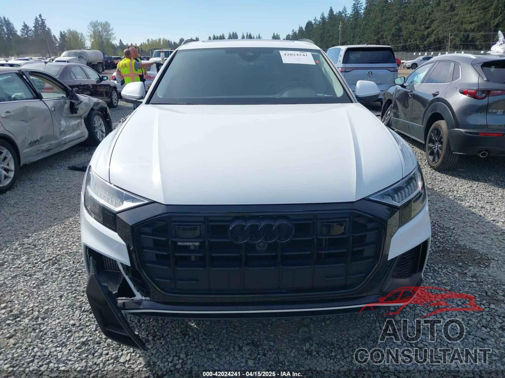 AUDI Q8 2023 - WA1EVBF17PD021816