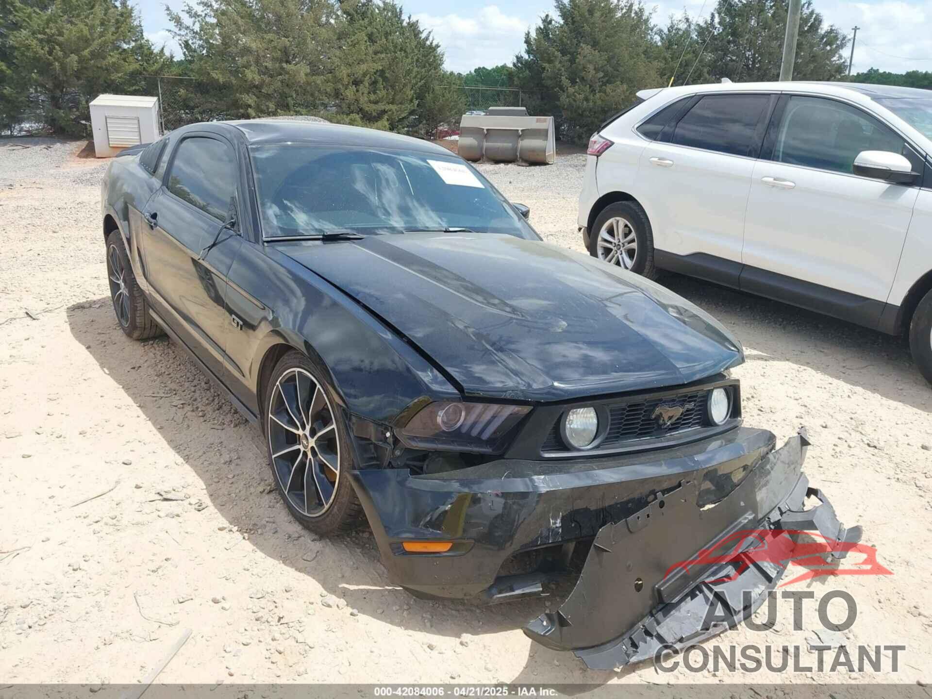 FORD MUSTANG 2010 - 1ZVBP8CH2A5118802
