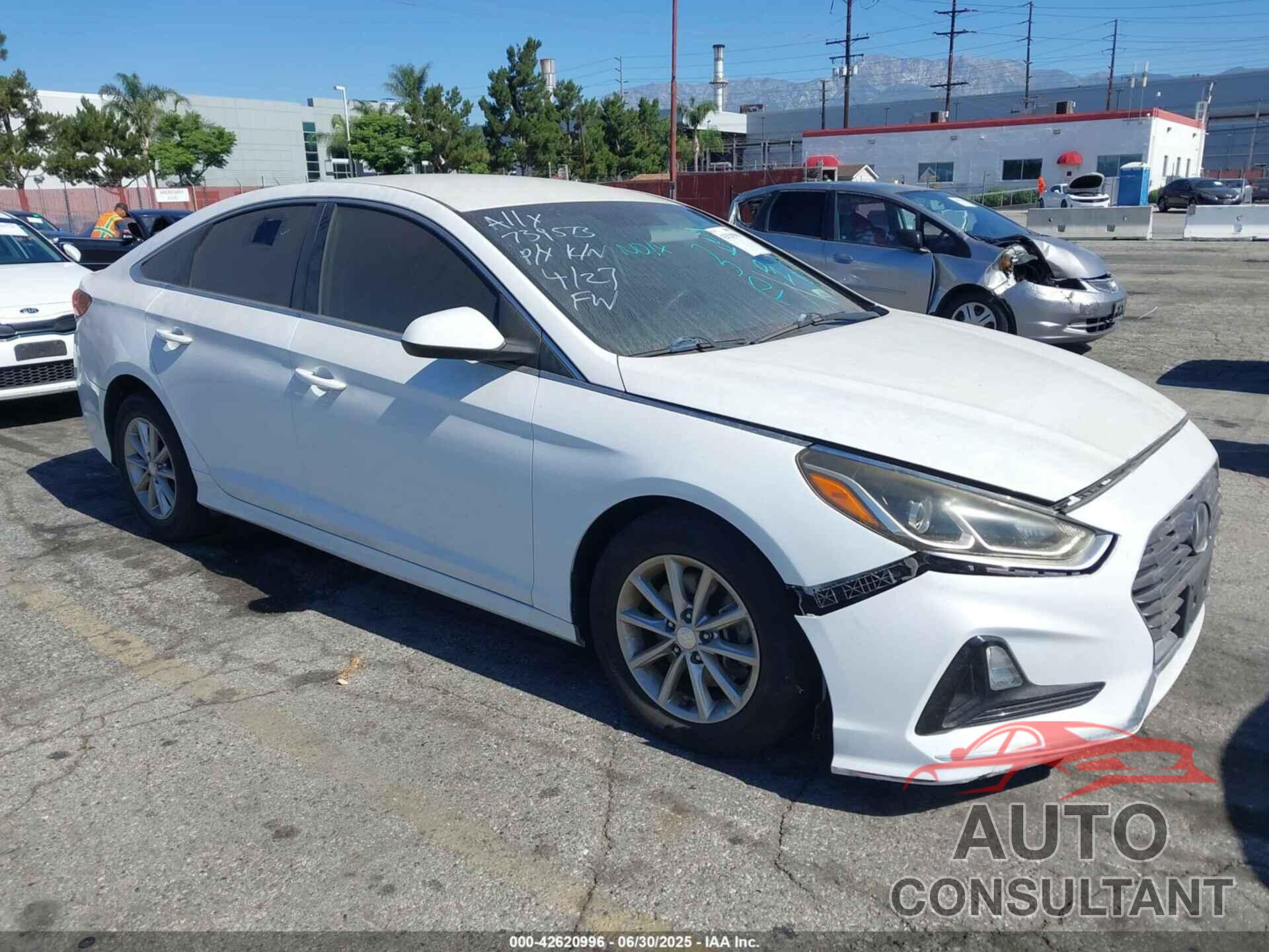 HYUNDAI SONATA 2019 - 5NPE24AF3KH739573