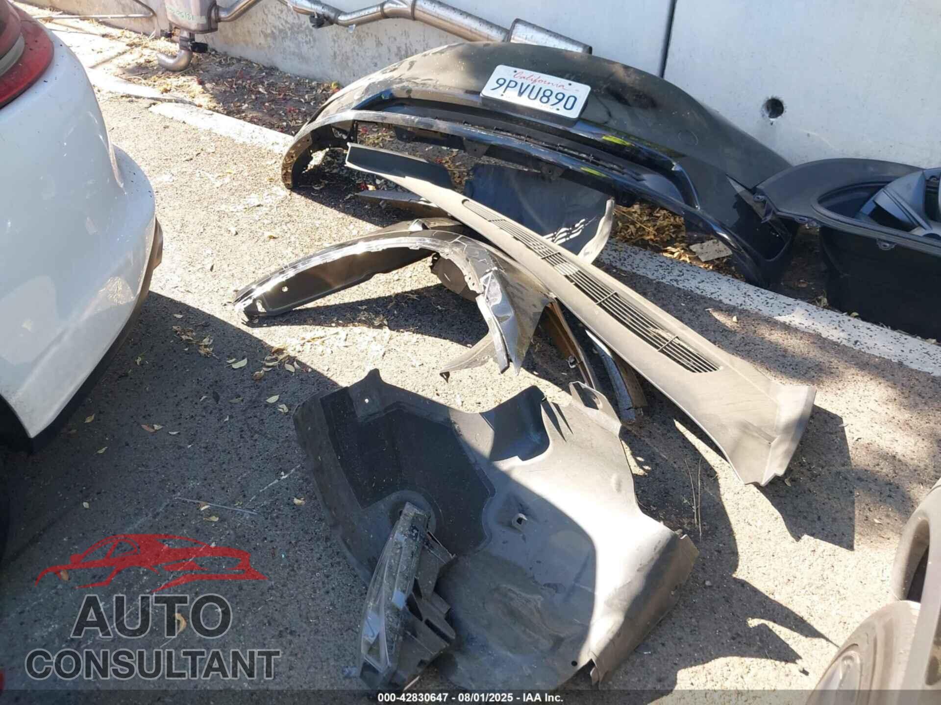 TESLA MODEL Y 2024 - 7SAYGDED2RF127531