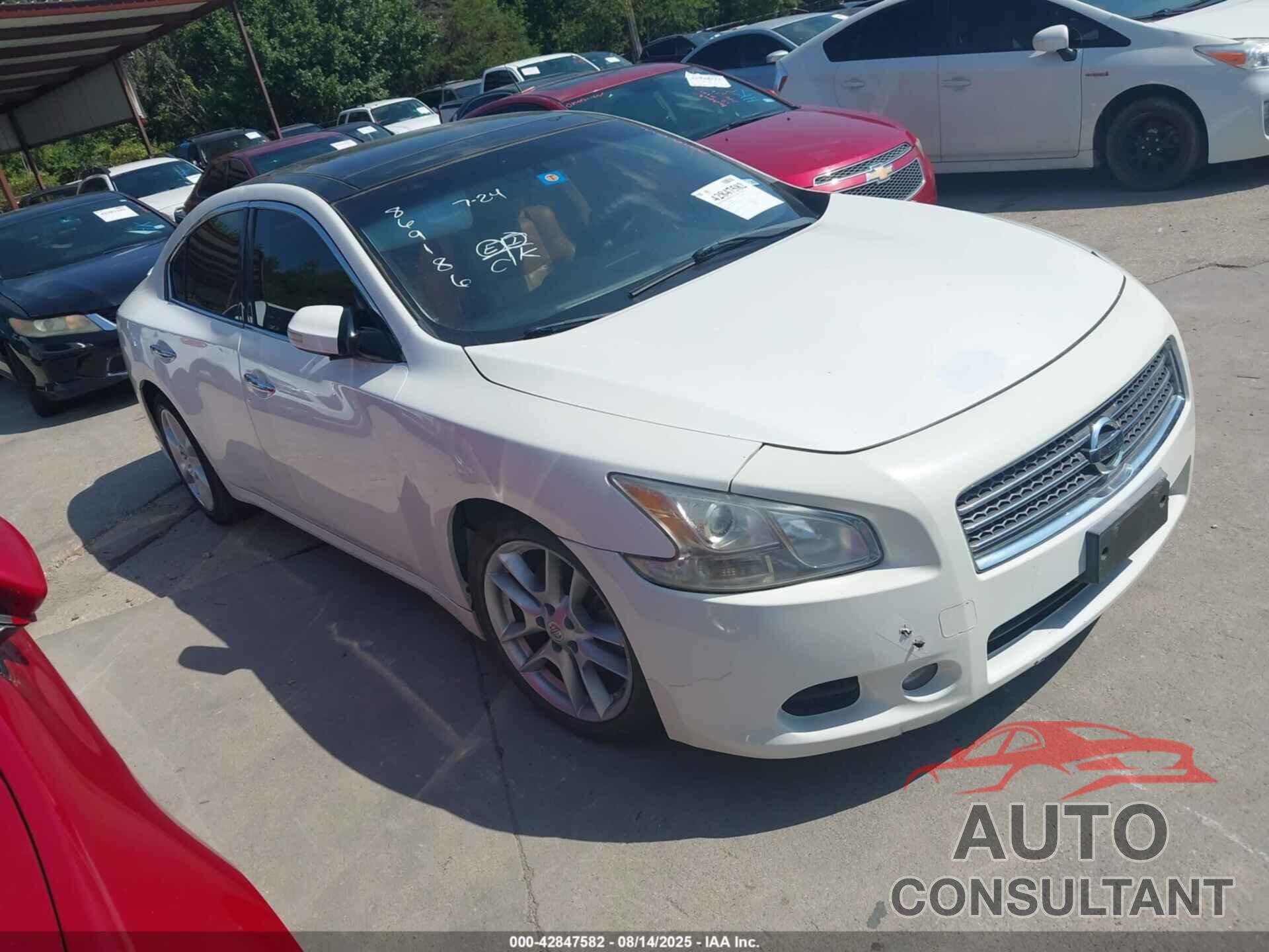 NISSAN MAXIMA 2010 - 1N4AA5APXAC869186