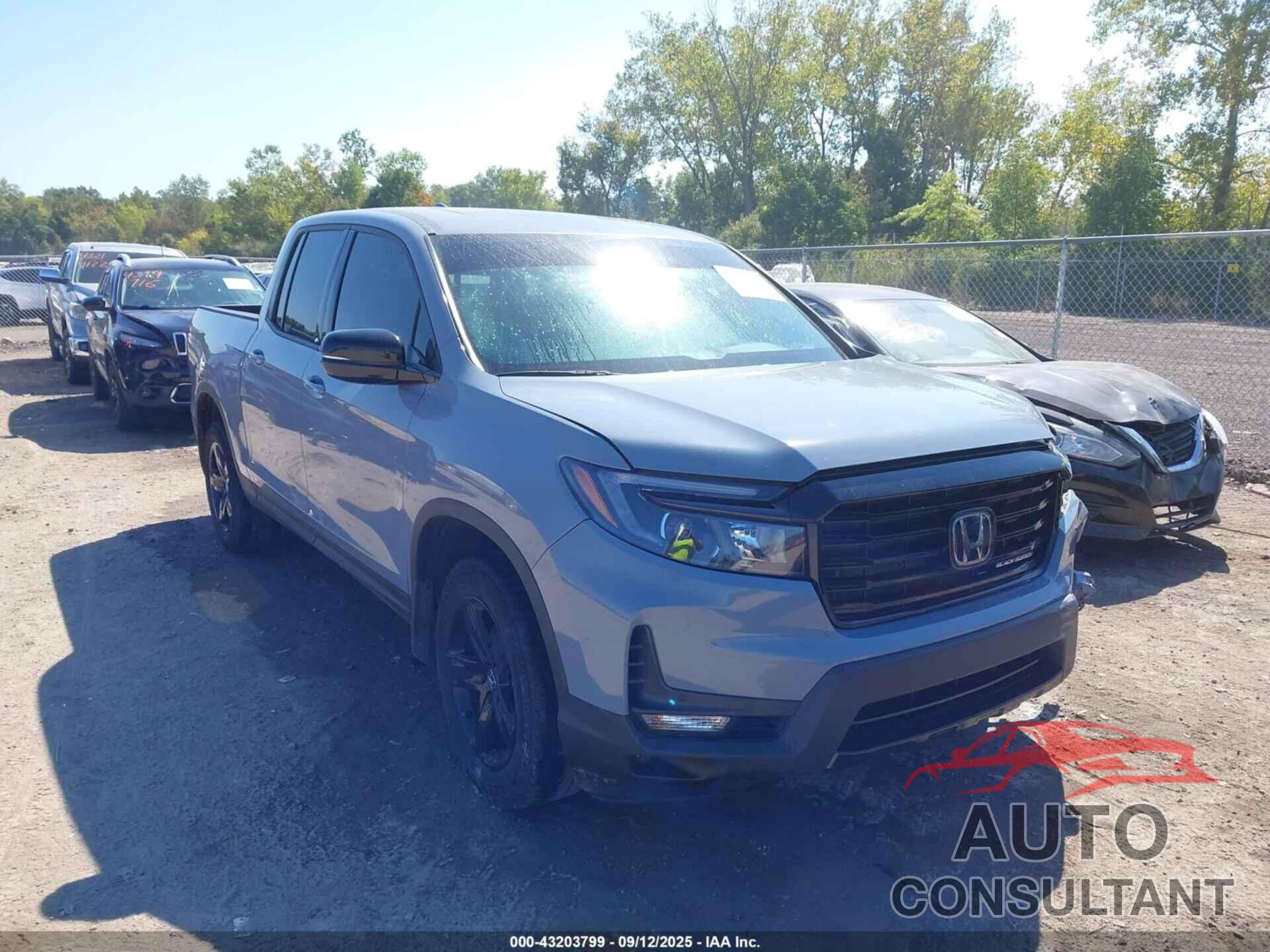 HONDA RIDGELINE 2023 - 5FPYK3F88PB032001