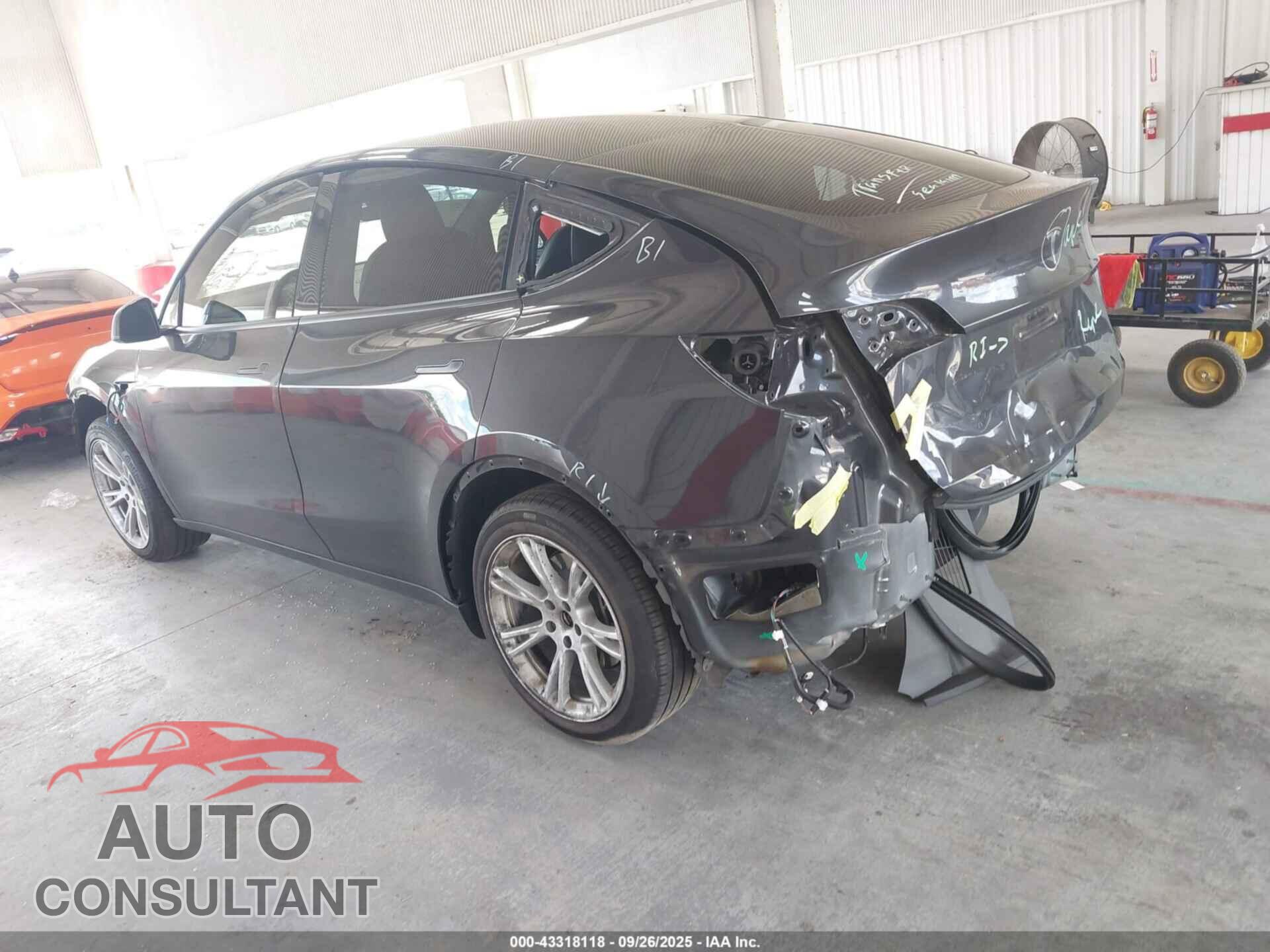TESLA MODEL Y 2024 - 7SAYGDED6RF042482